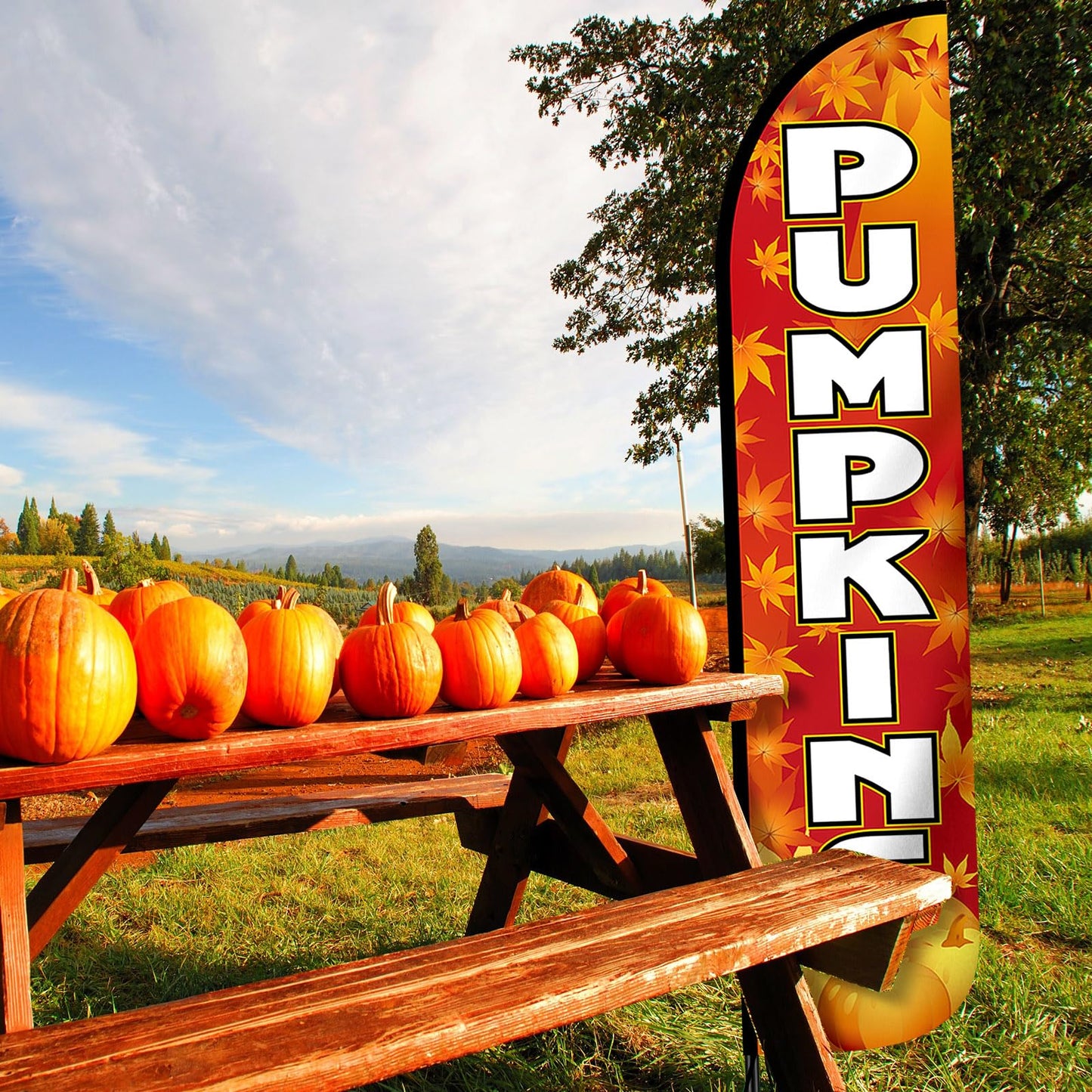 Remagr Thanksgiving Pumpkins Feather Flag Only 2.5ft x 12ft Outdoor Fall Garden Flag for Fall Pumpkins Theme Parties, Halloween Decorations, Festivals, Farms, Events