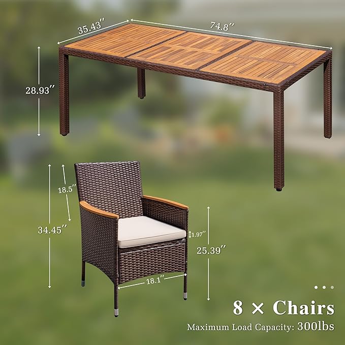 Devoko Outdoor Patio Dining Sets 9 Pieces Wicker Outdoor Dining Table and