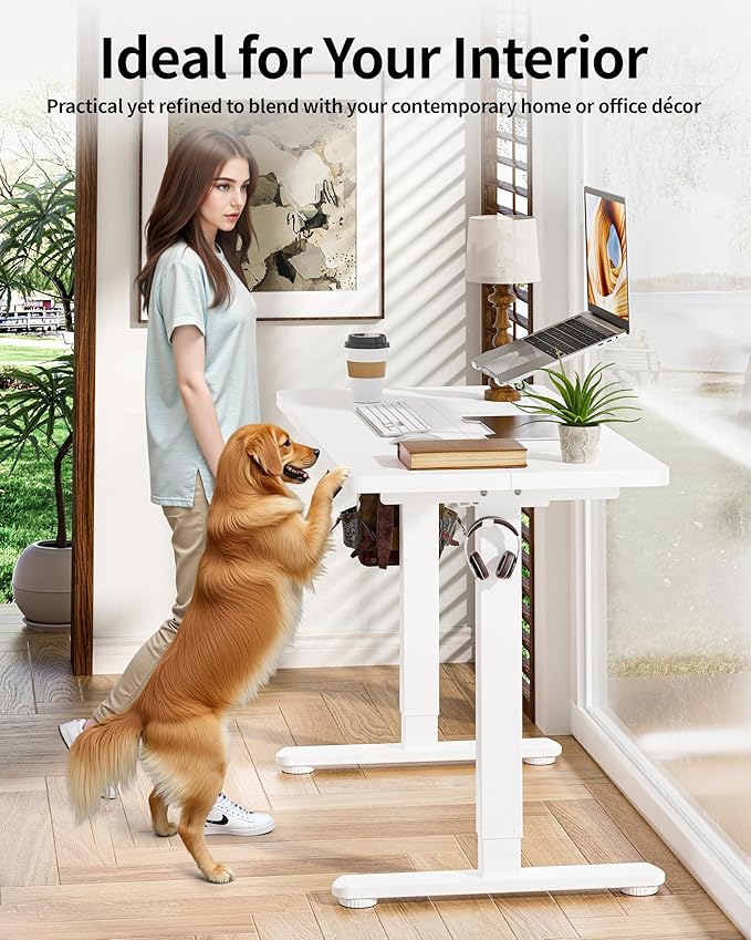 BIZUM Standing Desk Electric Adjustable Computer Desk-Stand up Desk Office