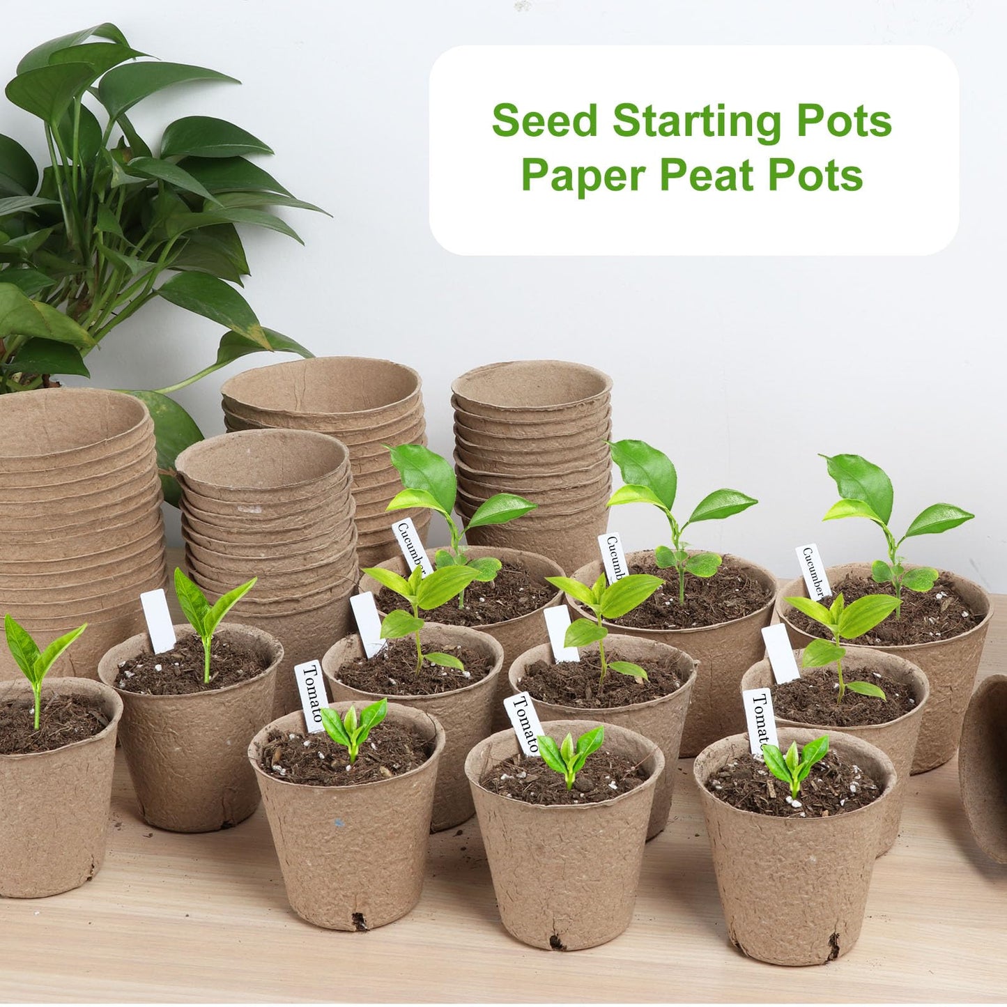 ModaSin 131 Pcs Organic Peat Pots, 3.15 Inch Nursery Pot, Round Plant Seedling Pots with Drainage Holes, Small Seed Starting Starter Tray Bulk, Garden Germination Container with 131 Planting Labels