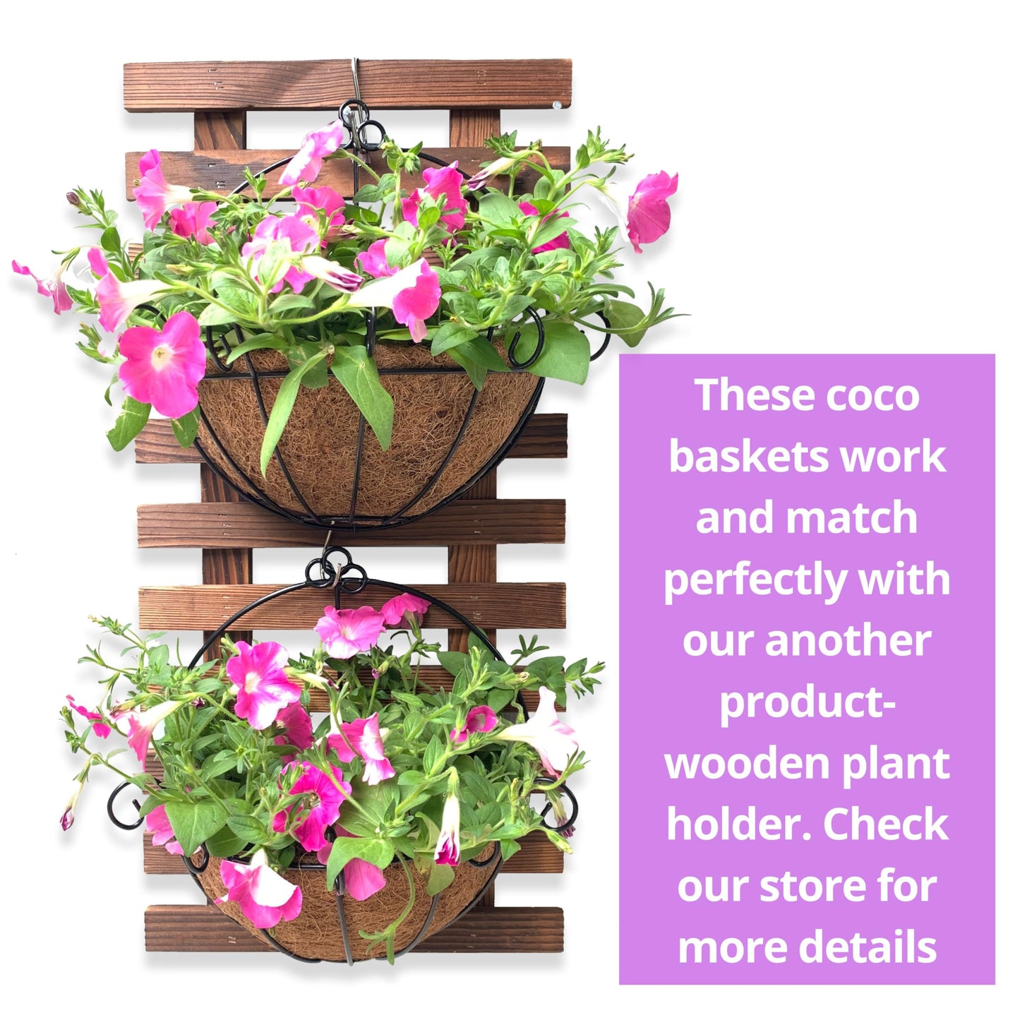 Shoplala Wall Hanging Planter for Outdoor (2 Pack, 10 Inch) Black Metal Hanging Flower Basket for Plants, Wall Planters with Coco Liner Indoor Wall Mounted Plant Holder Outside Balcony Fence Rail Deck