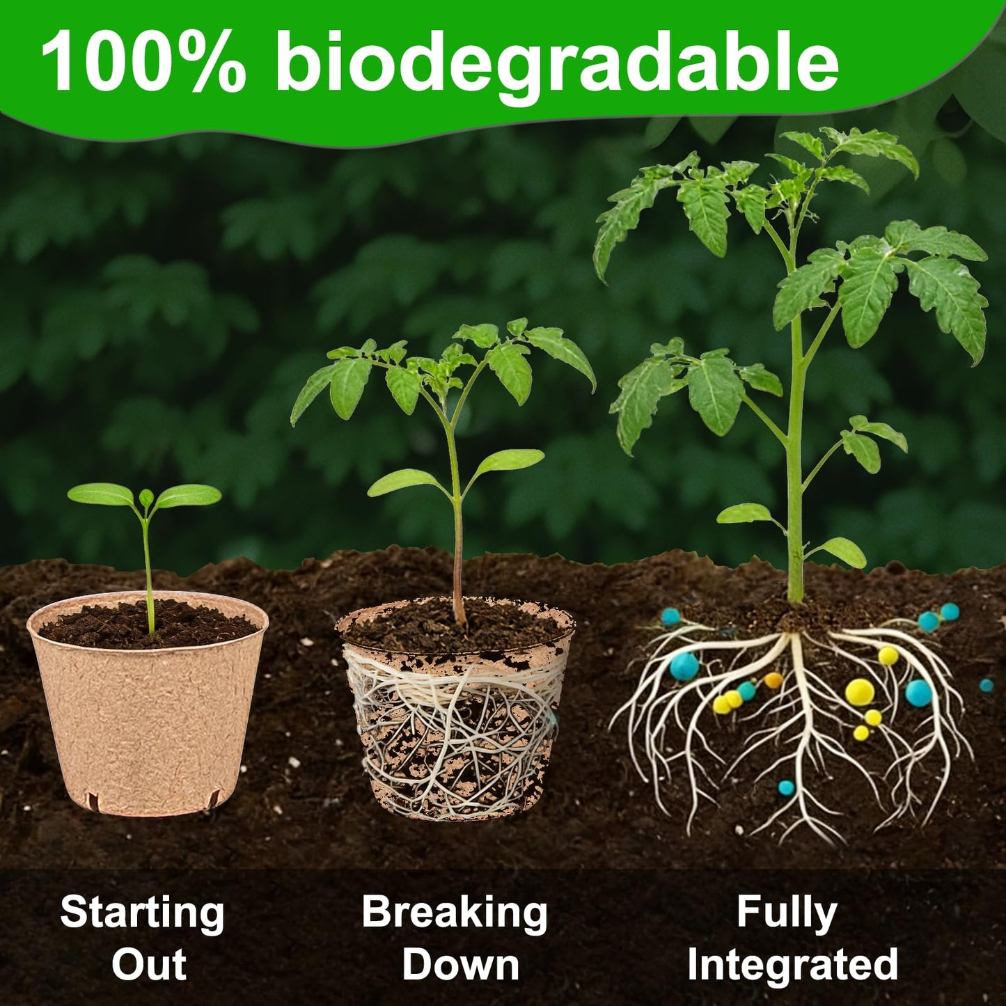 JNYONG 60 Packs 4 Inch Peat Pots,Biodegradable Pots for Seedlings with Drainage Holes, Garden Germination Nursery Pots with 50Pcs Plant Labels