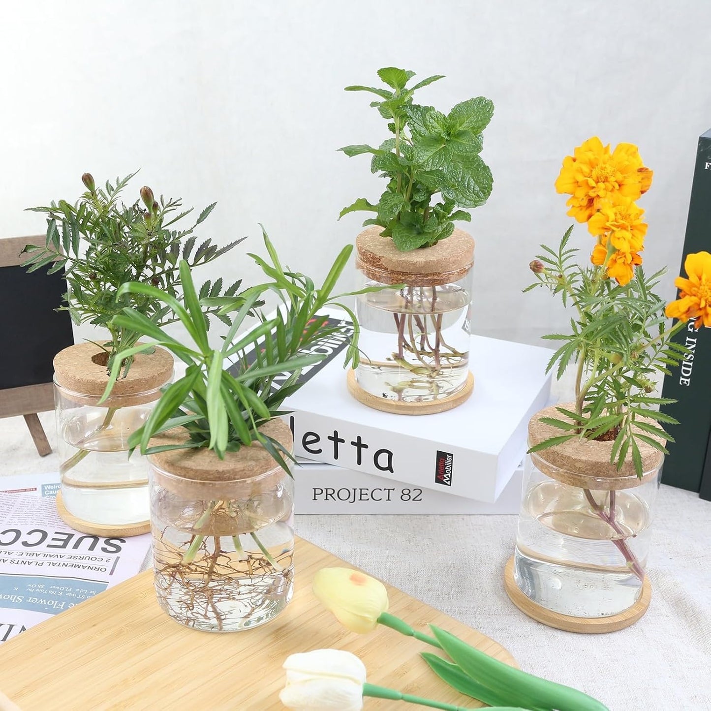 Plant Propagation Station,Hydroponic Glass Container Vase 2 Sizes Planter Propagated Jars for Desks, Houses, Garden Decorations,Home Kitchen Decorations and Gifts cu.20.5 (6pcs)