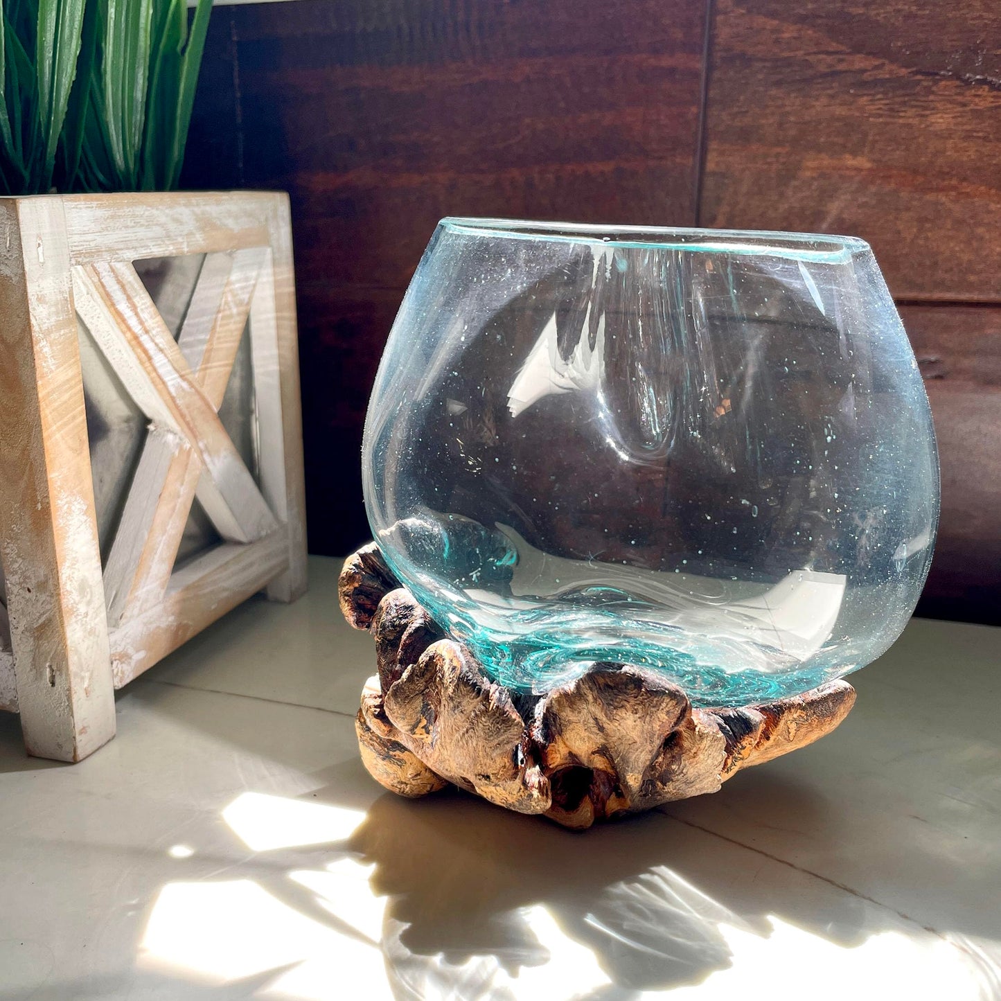 Melted Glass on Gamal Root Wood Decorative Bowl, Vase, and Terrarium Planter - Approximately 5 Inches High - Nature-Inspired Artistry for Home and Garden