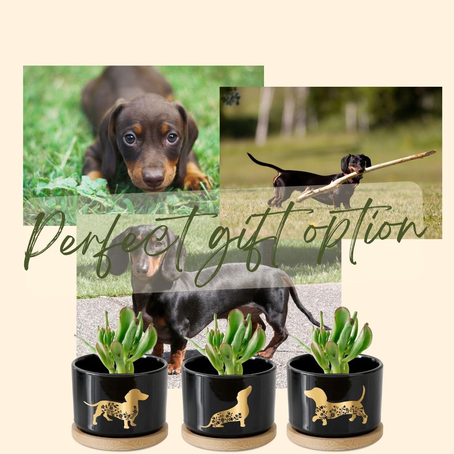 InnoBeta Dachshund Gifts Succulent Plant Pots 3pcs, Gifts for Dachshund Lovers, Planter Pot with Bamboo Tray, Plants NOT Included, Cute Ceramic Pots for Birthday, Christmas