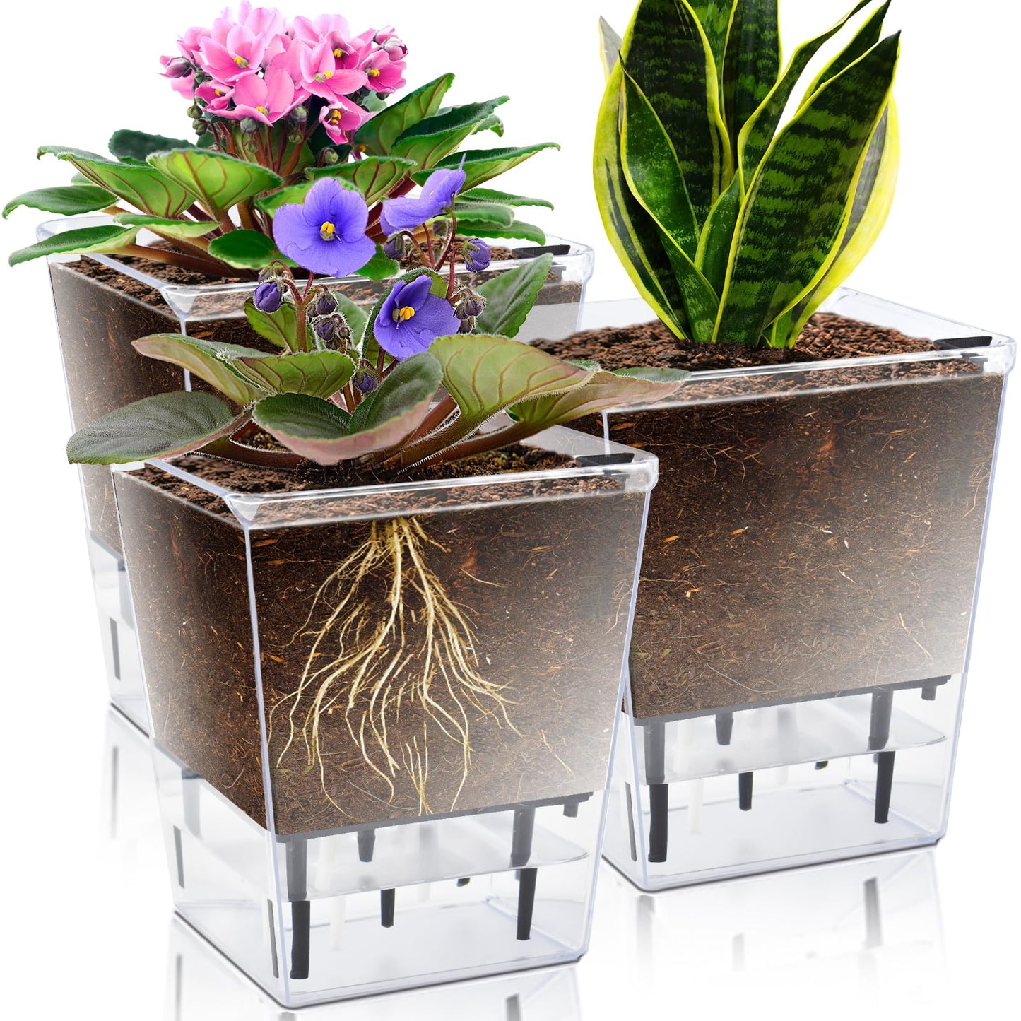 IWNTWY Self Watering Pots Set, 3 Pack 5 Inch for Indoor Plants, Clear Nursery Planter With Deep Reservoir for Spider Plant, Orchid, African Violet