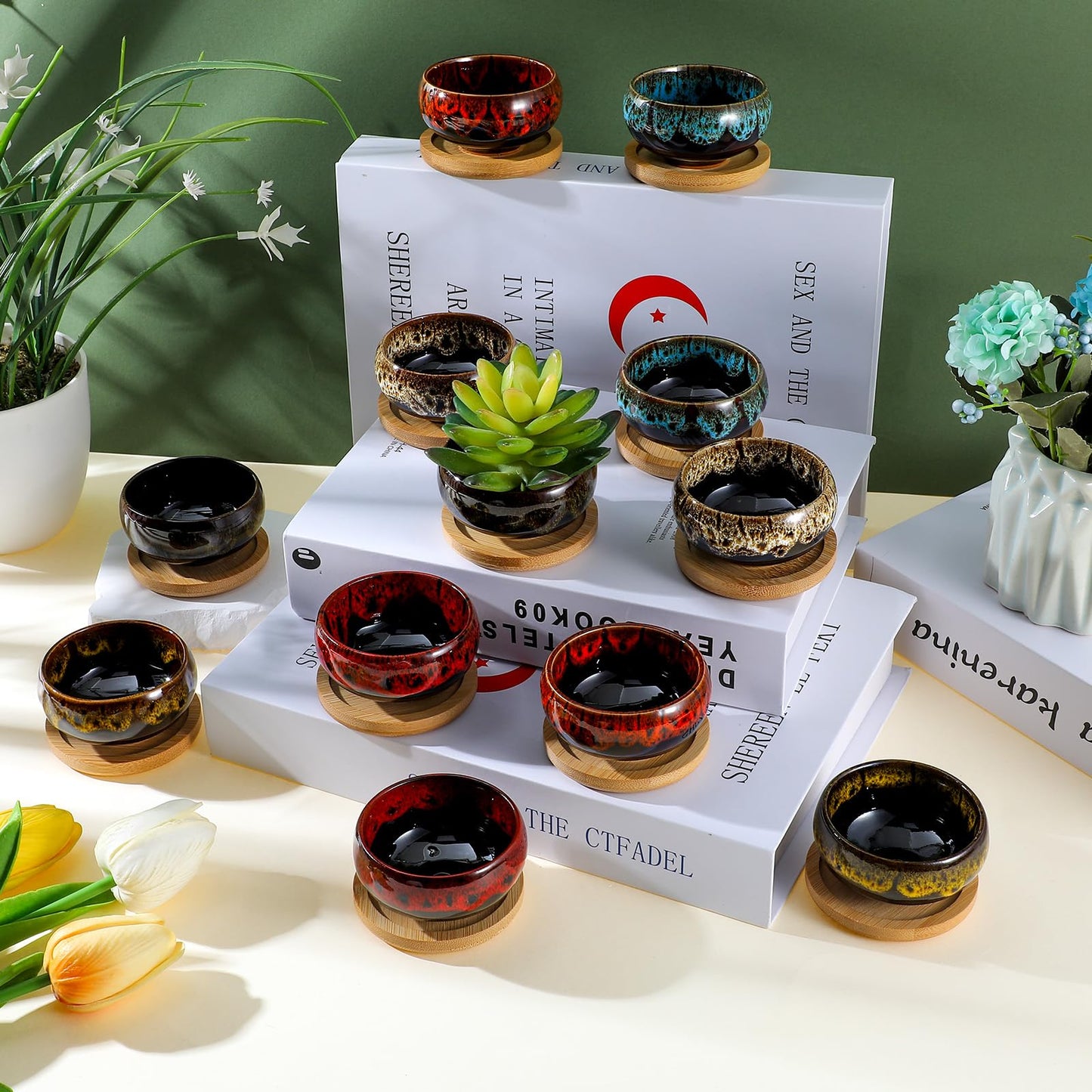 mekueeex 12 Pcs Ceramic Succulent Garden Pots Succulent Small Plant Cactus Planter Ceramic Pot with Drainage Hole and Bamboo Tray Matte Round Container (2.5 Inch)
