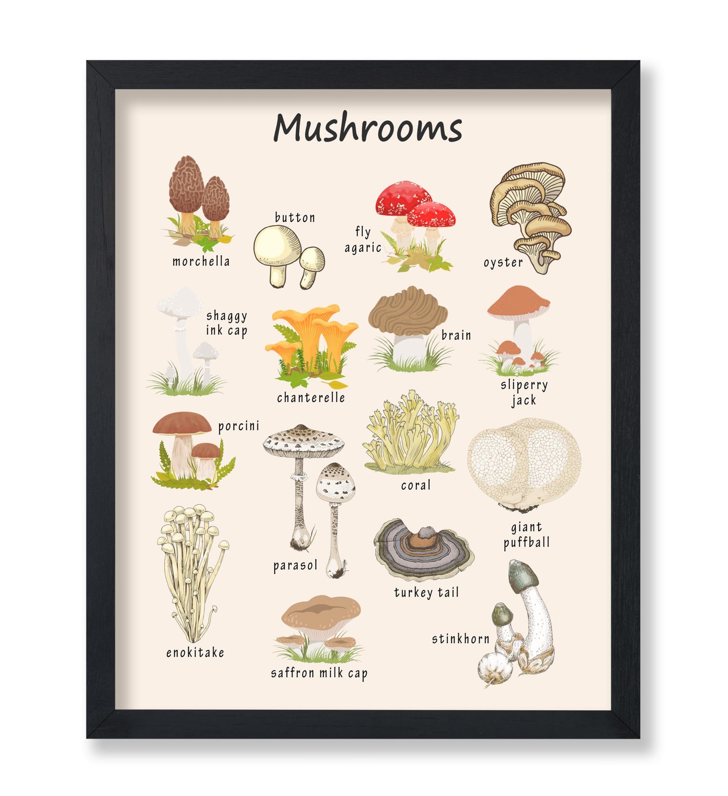 Poster Master Mushroom Print - Botanical Poster - Learning Materials Art - Educational Wall Design - Gift for Students & Teacher - Decor for Classroom, Library or Nursery - 8x10 UNFRAMED Wall Art