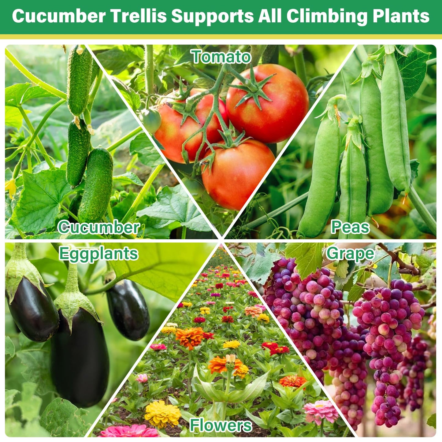 Sunwinx 2Pack 51x35Inch Cucumber Trellis for Raised Bed, Adjustable A-Frame Garden Trellis for Climbing Plants Outdoor with Climbing Net, Meal Plant Trellis for Vegetables Pea Bean Tomato Squash Grape