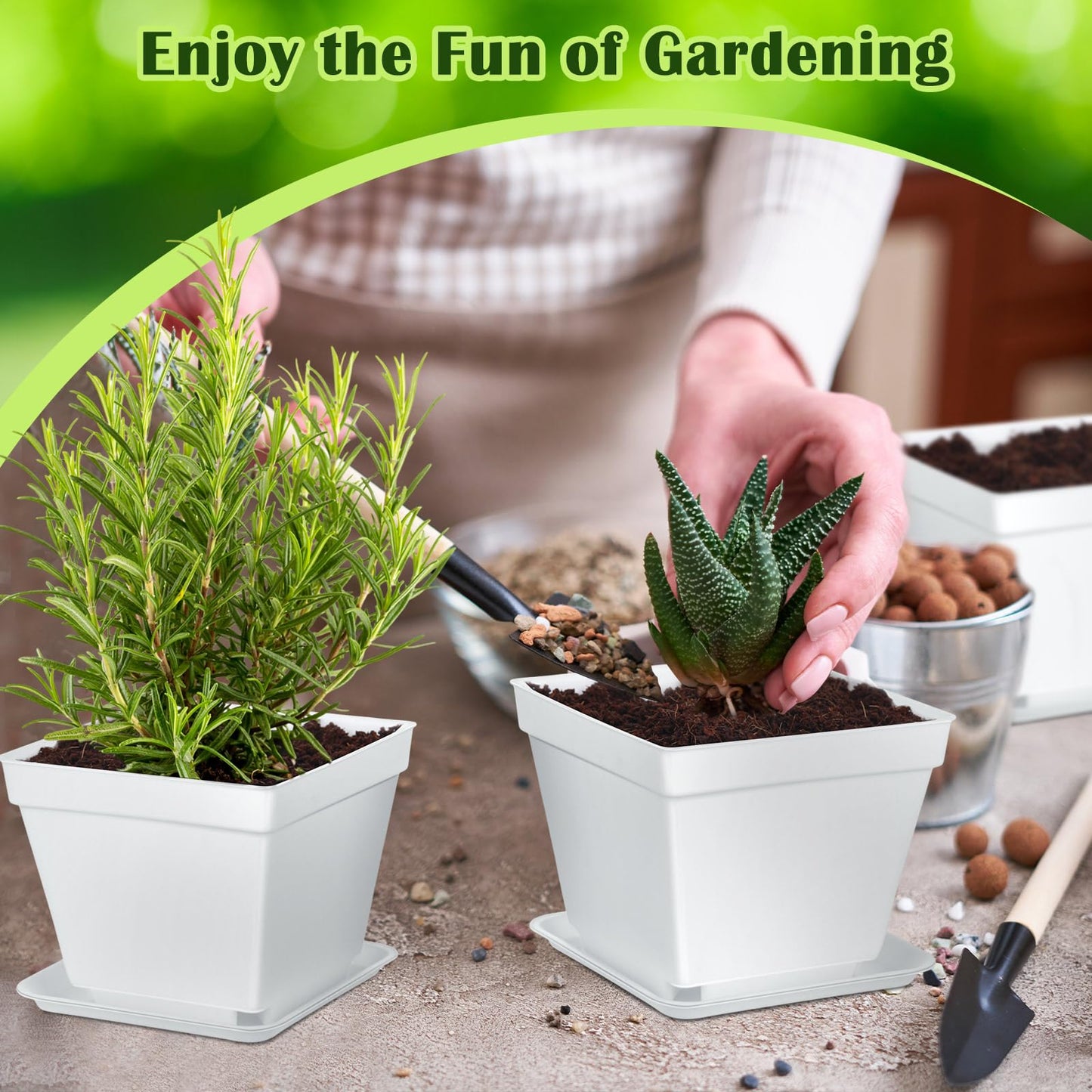 Ripeng 10 Set Indoor Herb Garden Starter Kit, Herb Growing Kit with Pots, Nutritional Soil, Plant Markers, Kitchen Window Planter, Gardening Gift for Women Men Indoor Outdoor