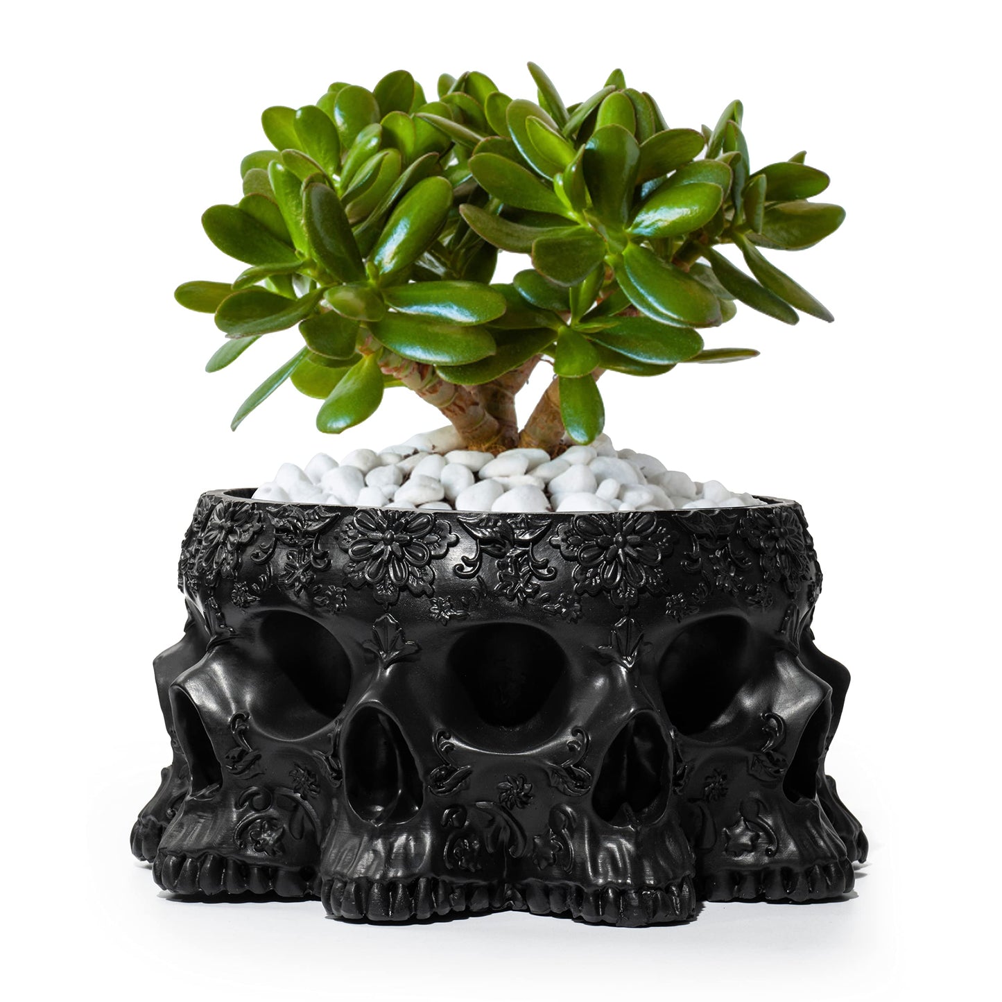 Skull Black Multifaced Planter Pot 4" Skulls Skeleton Head Pot for Succulents Flowers Sweets, Creepy Gothic Décor for Garden Home Parties Haunted House, Spooky Halloween Desk Organizer Candy Bowl Gift