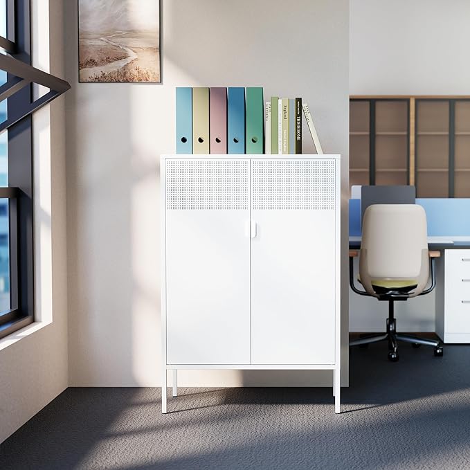 Washsemba 2 Mesh Door Metal Storage Cabinet