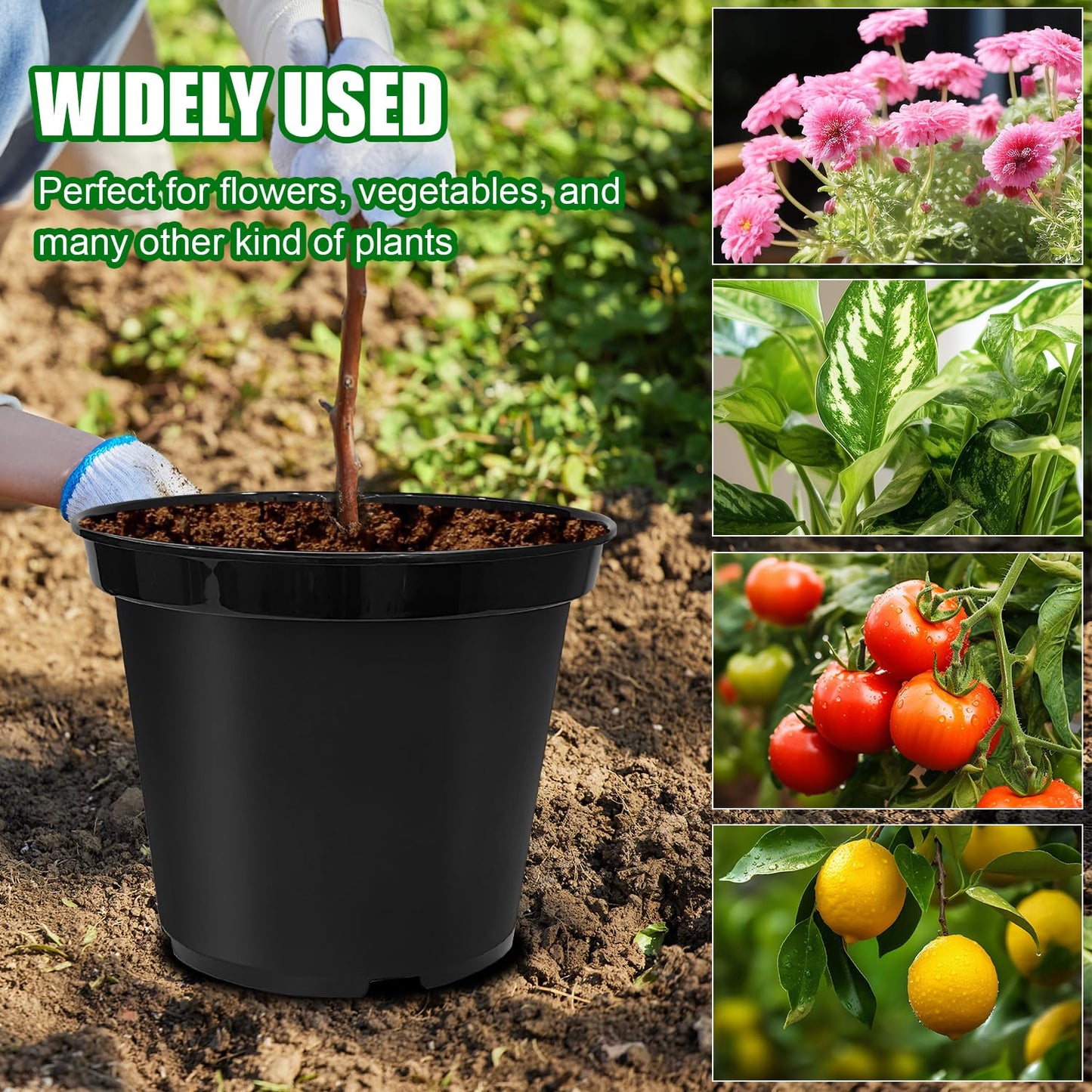 BTPLASTIK 3 Gallon Nursery Pots, 10 Inch Thickened Plant Pots with Drainage Holes, Plastic Round Planter for Outdoor Indoor Plants (12-Pack, Black)