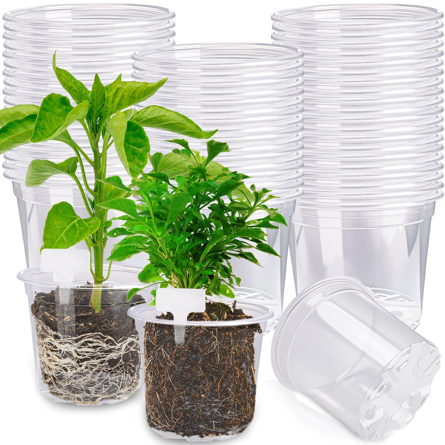 300 Pcs 4 Inch Clear Plant pots with Drainage Holes 150 Transparent Plastic Nursery 150 White Labels High Transparency Excellent Hardness for Seeding Cultivation Raising Flower Gardening Activities