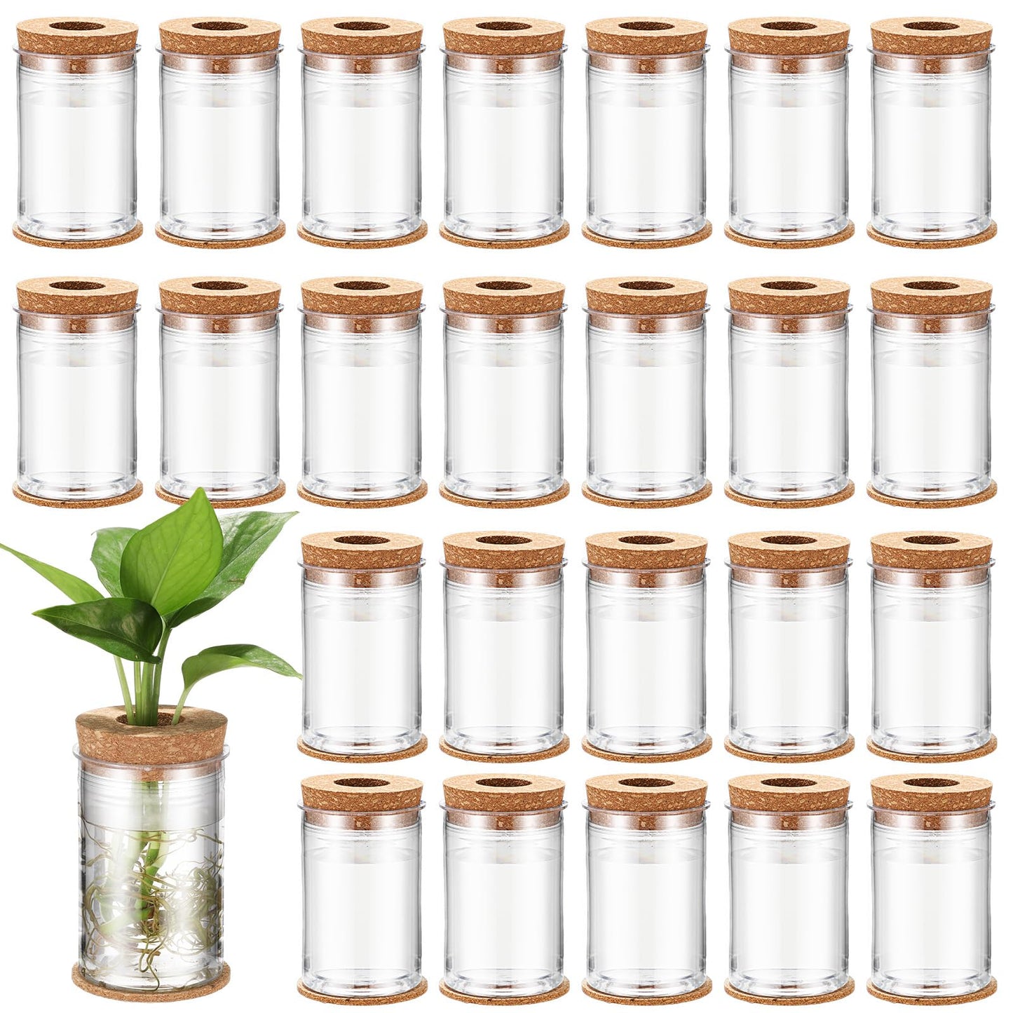 Baderke 24 Packs Plastic Desktop Plant Terrariums Propagation Planter Tabletop Planting Vase with Lid and Cork Plant Coasters for Growing Hydroponic Home Office Table Decoration(Classic Style)
