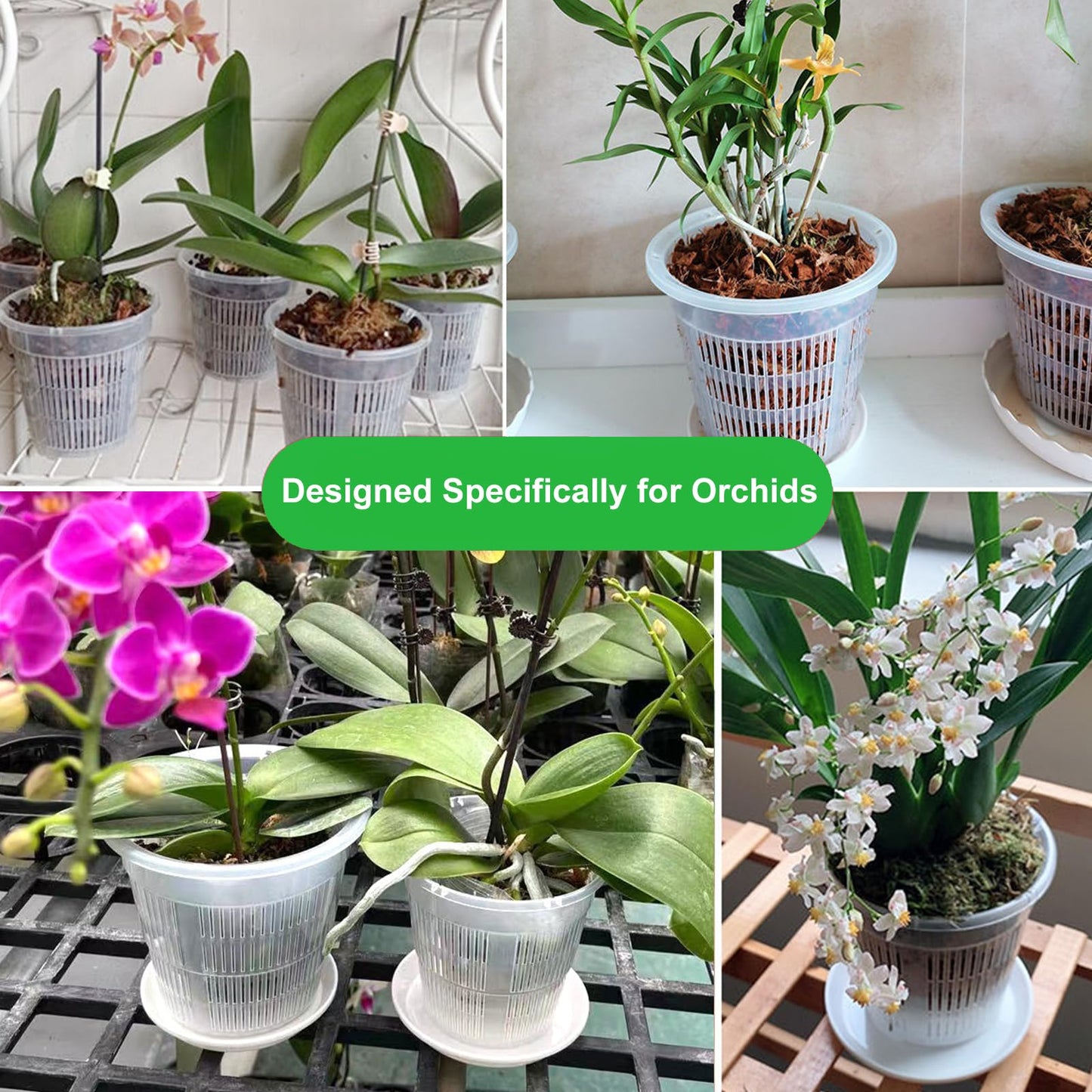 MYITYARD Orchid Pot, 6 Pack 6 Inch Orchid Pots with Holes & Saucers for Repotting - Clear Plastic Plant Pots for Indoor Outdoor Flower Planters Dendrobium Phalaenopsis