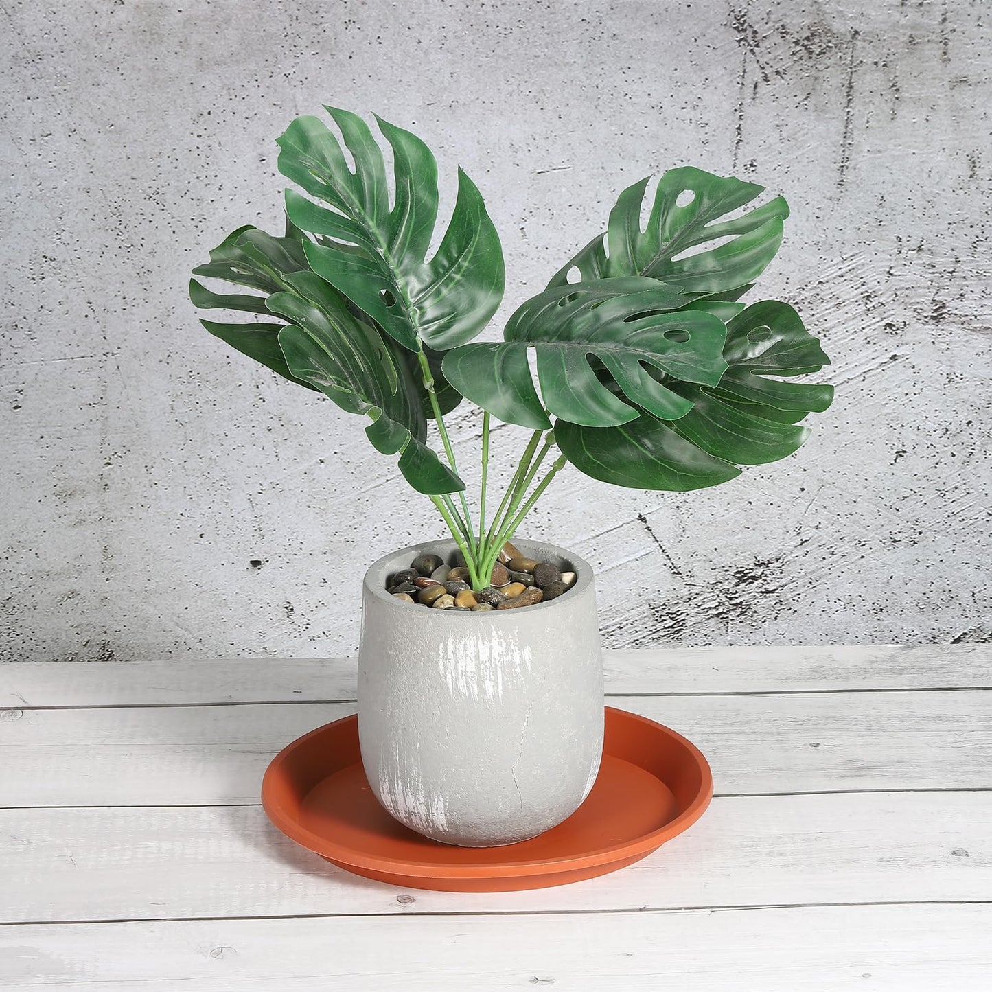 PATIKIL 6 Pack Plant Saucer, 9 Inch Plastic Round Plant Tray Flower Pot Saucers Planter Water Tray - for Indoor Outdoor Balcony Garden Potted, Terracotta