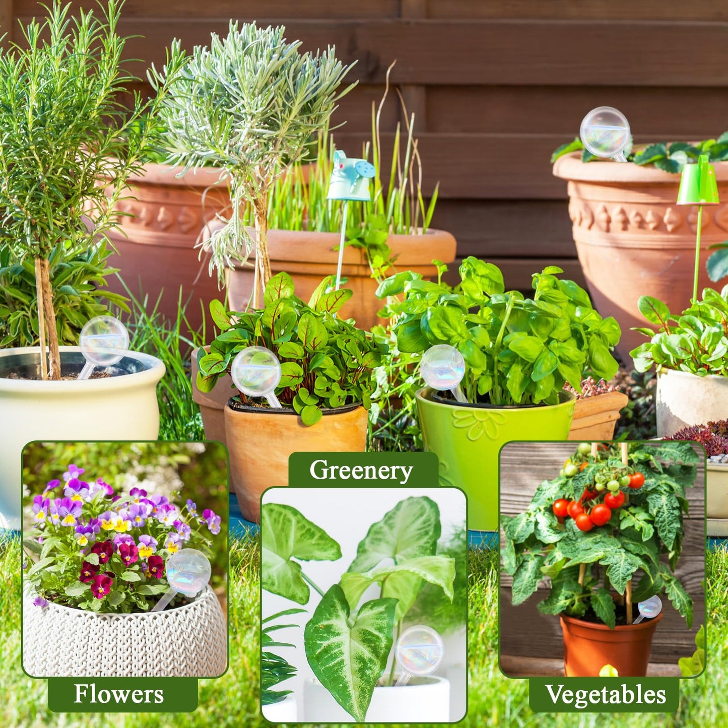 Pynqdfu 8 Pcs Plant Watering Globes,Glass Rainbow Gradient Plant Watering Globes,Self Watering Planter Insert,Automatic Plant Watering Devices for Indoor Outdoor,Flowerpot,Hanging Plants,Home Garden