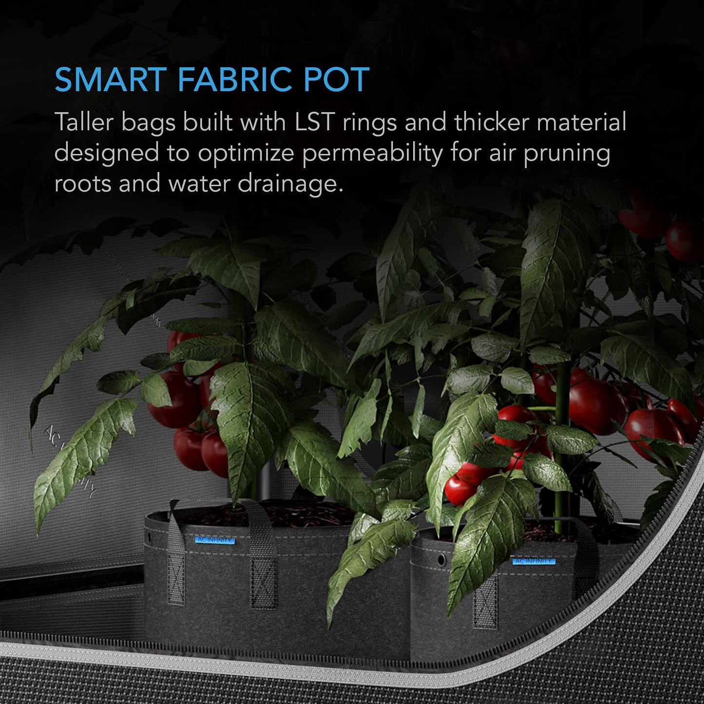 AC Infinity Heavy Duty Fabric Pots, 5 Gallon Aeration Reusable Grow Bags 5-Pack with 500G Thick Nonwoven Fabric and Multi-Purpose Rings, for Low Stress Plant Training Fruits, Vegetables, and Flowers
