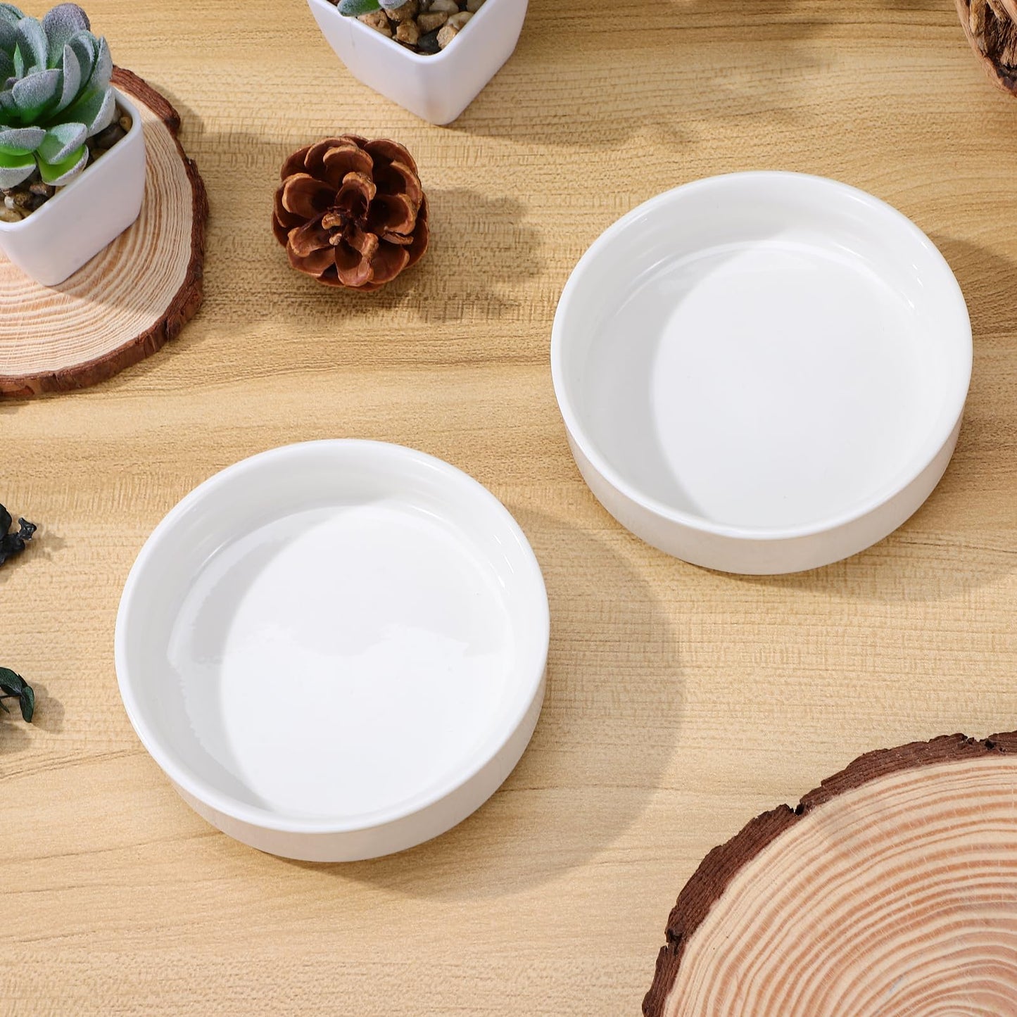 GANAZONO 2pcs Brazilian Wood Pallet Brazilian Plant Ceramic Tray Brazilian Wood Plant Saucers Ceramic Tray Holders for Indoor Plants 4in