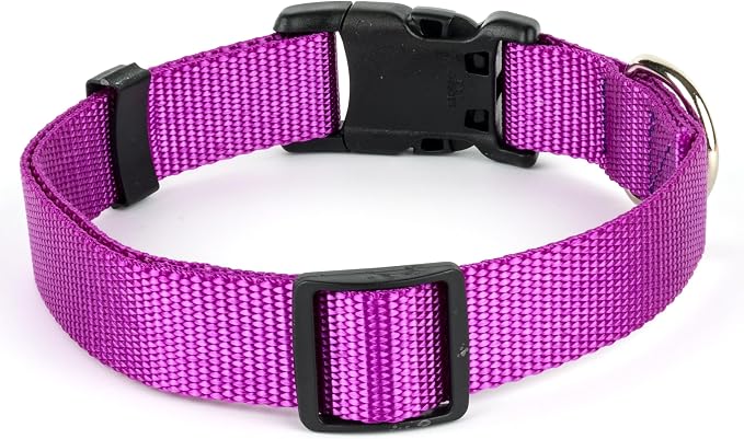 Country Brook Petz - Deluxe Nylon Dog Collar and Leash - 10+ Cool Colors (3/4 Inch, Small, Bright Purple)