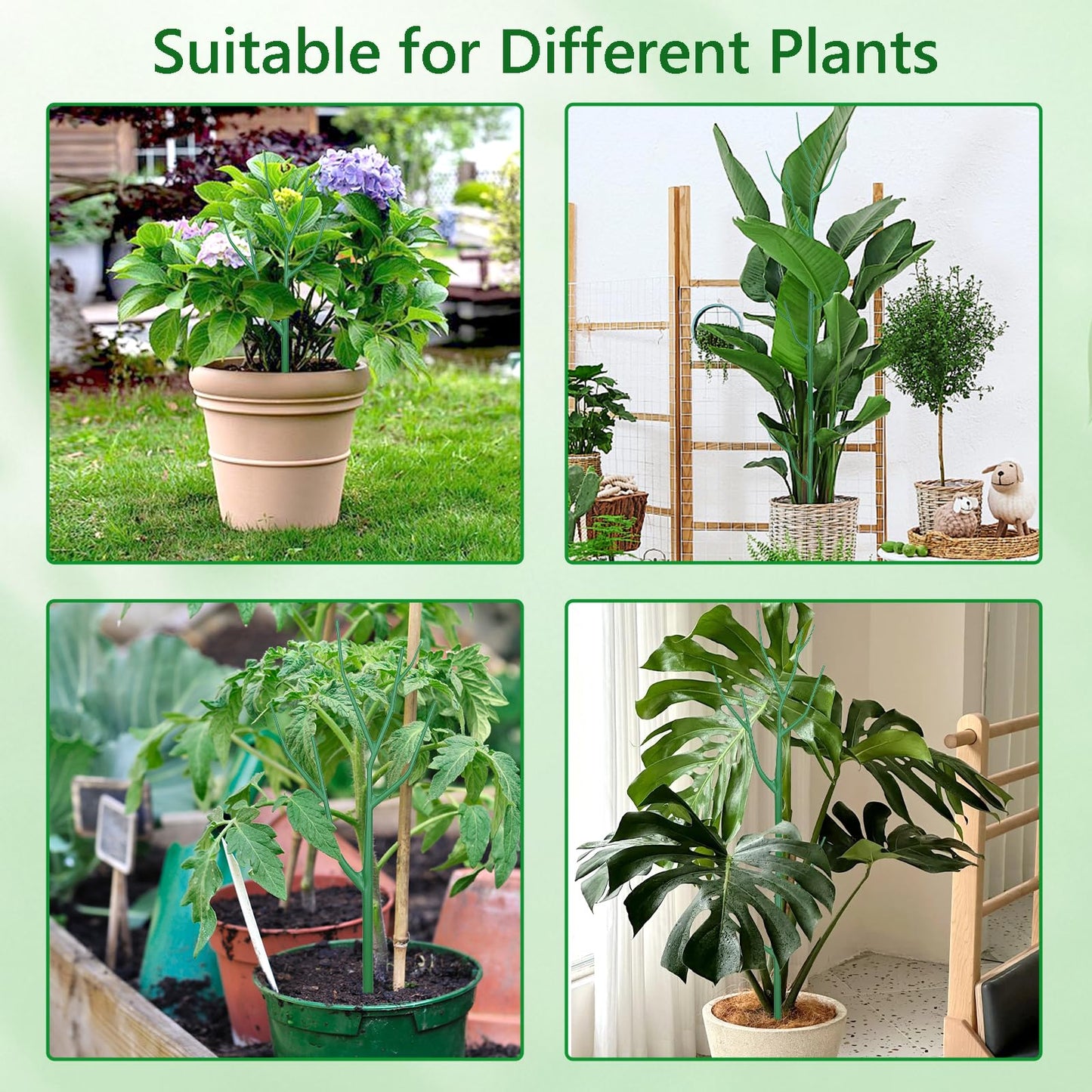 Obralitic 15 Pack Stackable Plant Supports Stakes, Sturdy Garden Trellis for Climbing & Vining Plants, Monstera, Pothos & Philodendron - Reusable Plant Stakes for Indoor & Outdoor Potted Plants