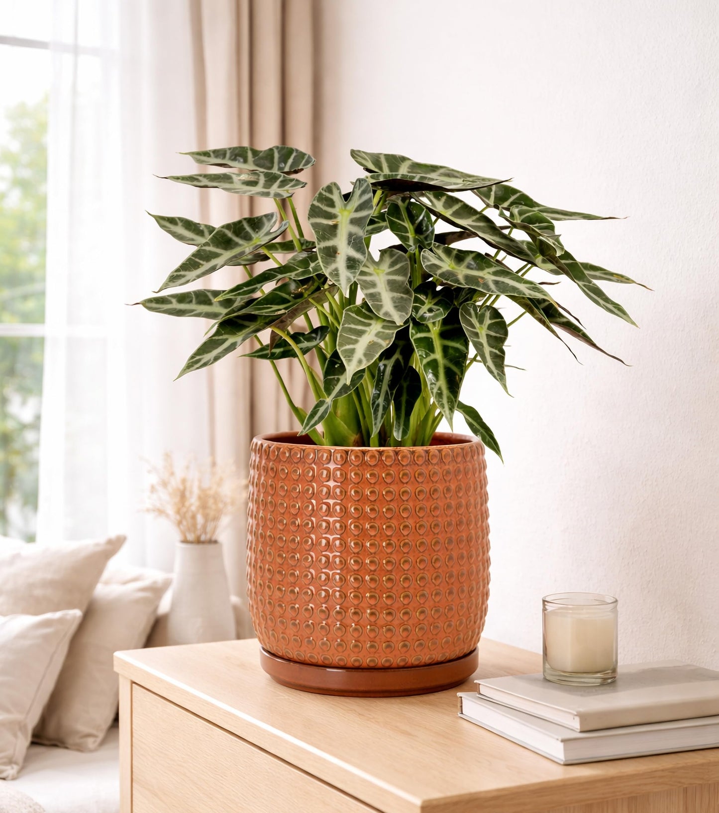 D'vine Dev 8 Inch Ceramic Beaded Stoneware Planter Pot - Flower Pot with Drainage Holes and Saucers for Indoor Succulent Plants or Flowers, Pumpkin, 27-C-Q-J