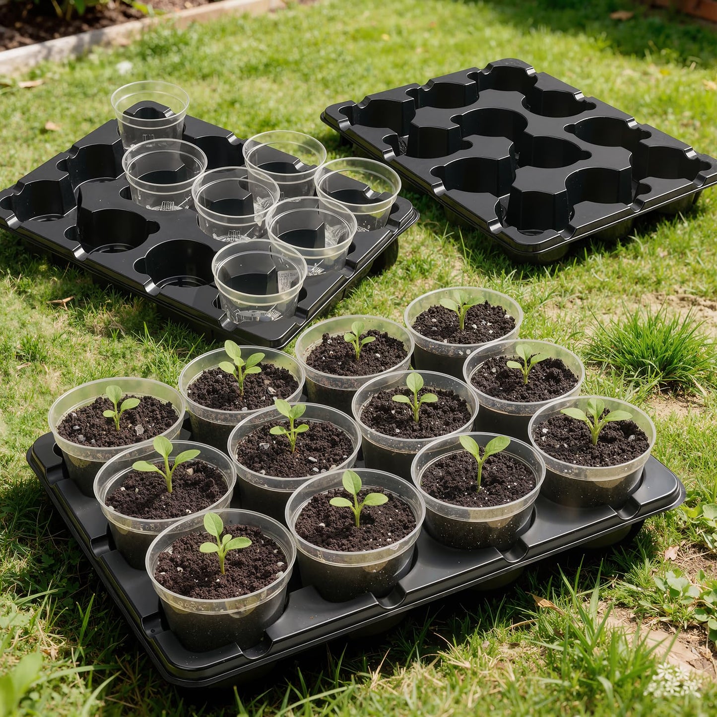 homenote 4 Inch Seed Starting Trays 5 Pack, 12-Cell Seedling Starter Trays for Indoor Outdoor Growing, Plant Starter Germination Trays for Pots Seedlings 4" Opening Compatible Pots