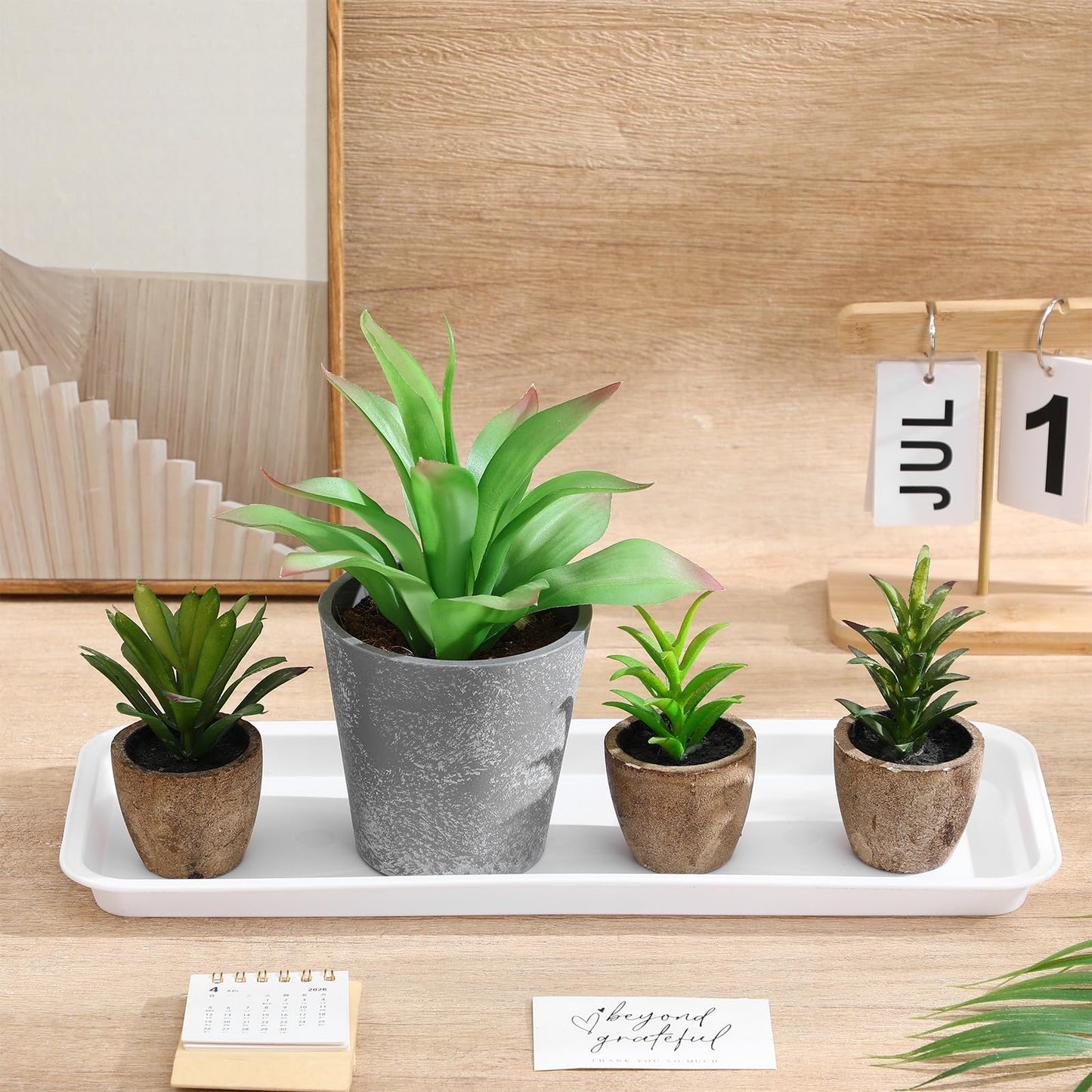 Sewroro 10pcs Rectangular Plant Saucers, Plastic Flower Pot Trays for Indoor Outdoor Use, 15. 7 X 5. 9 Inch Water Catchment Trays for Overwatering Protection, Reusable Bonsai Pot Bases