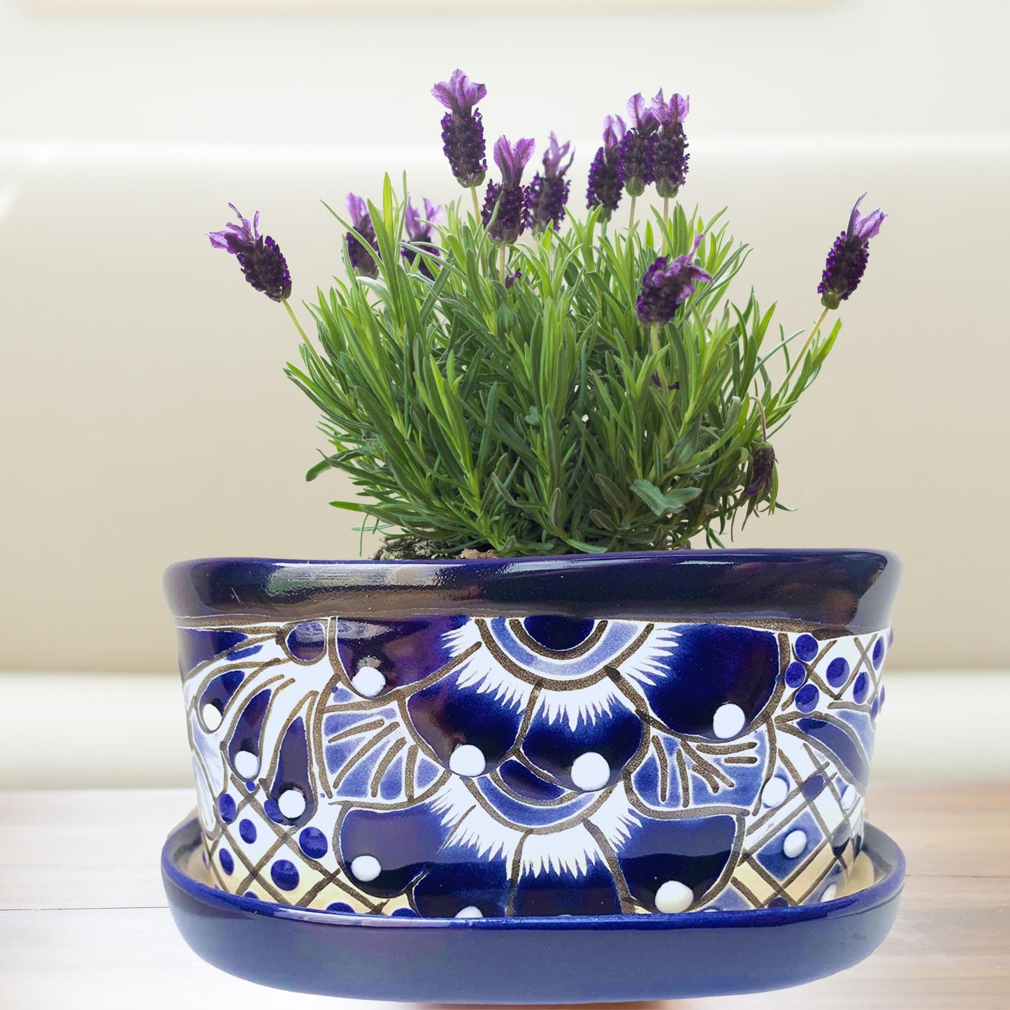 Casa Fiesta Designs Small Ceramic Pot - Flower Planter with Drainage for Cactus Bonsai Succulents Blue and White Ceramic Pot - Desk Size - Maceta Ceramica Maceta Azul Blanco