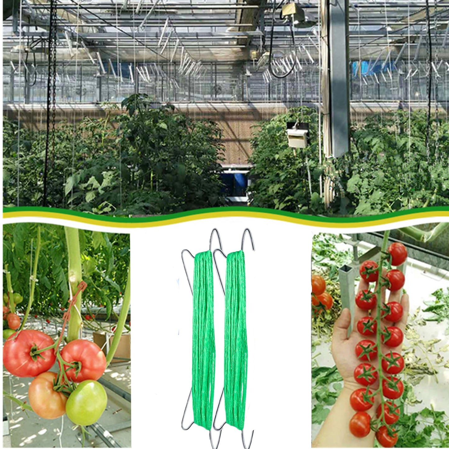alfyng 60pcs Tomato Hooks - 20Pcs Tomato Support Hooks with 32.8ft Twine String, 40pcs Tomato Holder Hooks & Plant Support J-Hook Clips to Prevent Tomatoes from Pinching or Falling Off