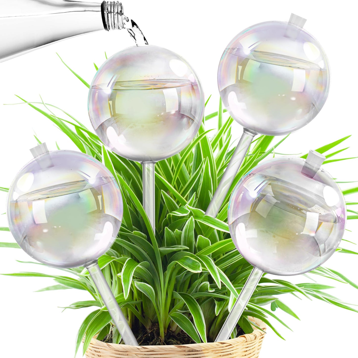 17 oz Up 2 Weeks Extra Large Plant Watering Globes, Self Watering Planter Insert, Iridescent Glass Self Watering Globes, Vacation Plant Watering Devices, Automatic Watering Bulbs (Large 4-Pack)