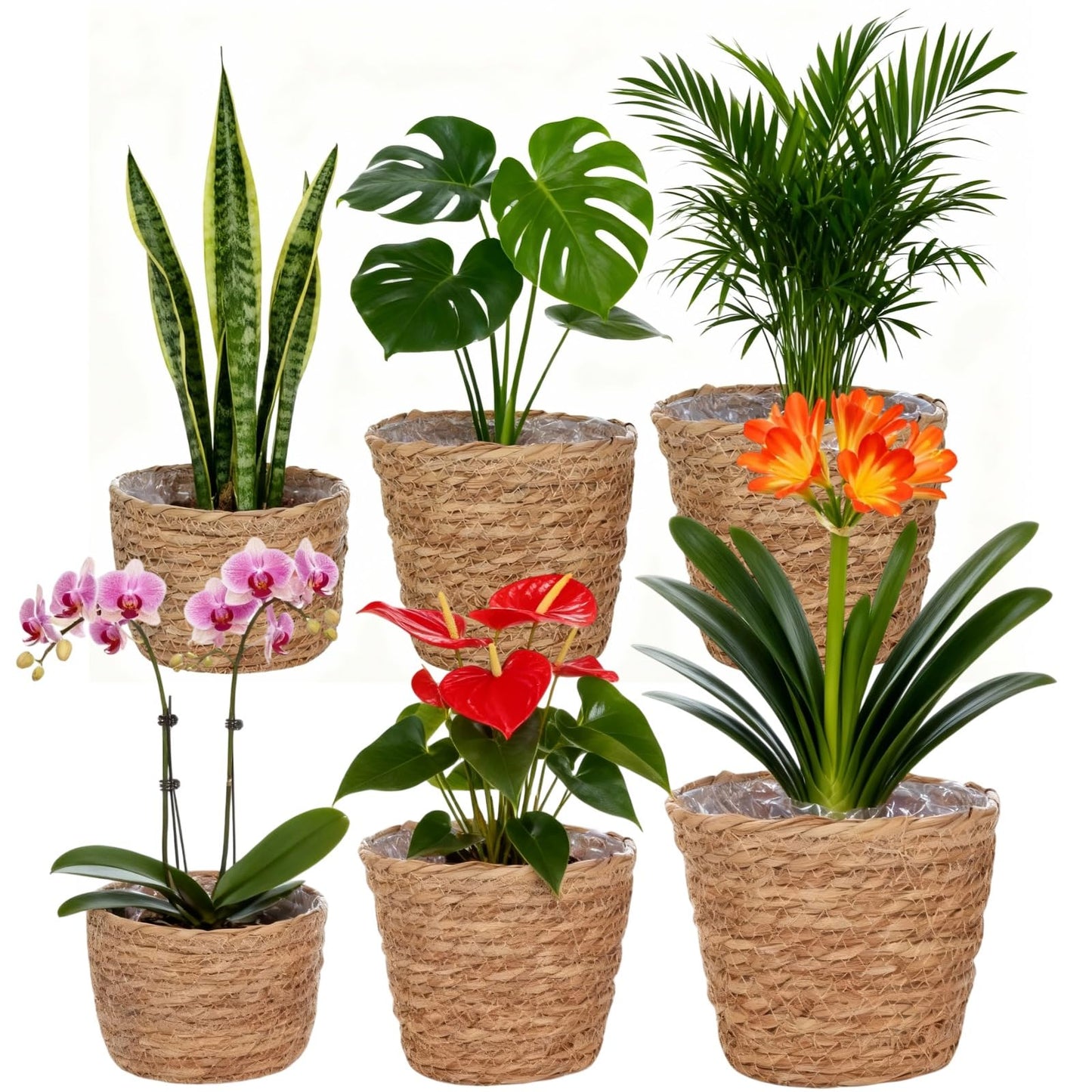 6 Pcs Plant Baskets Indoor with Plastic Liners, Wicker Hand Woven Plant Baskets, Flower Pots Storage Containers in 3 Sizes, Decorative Planters for Home, Balcony, Office