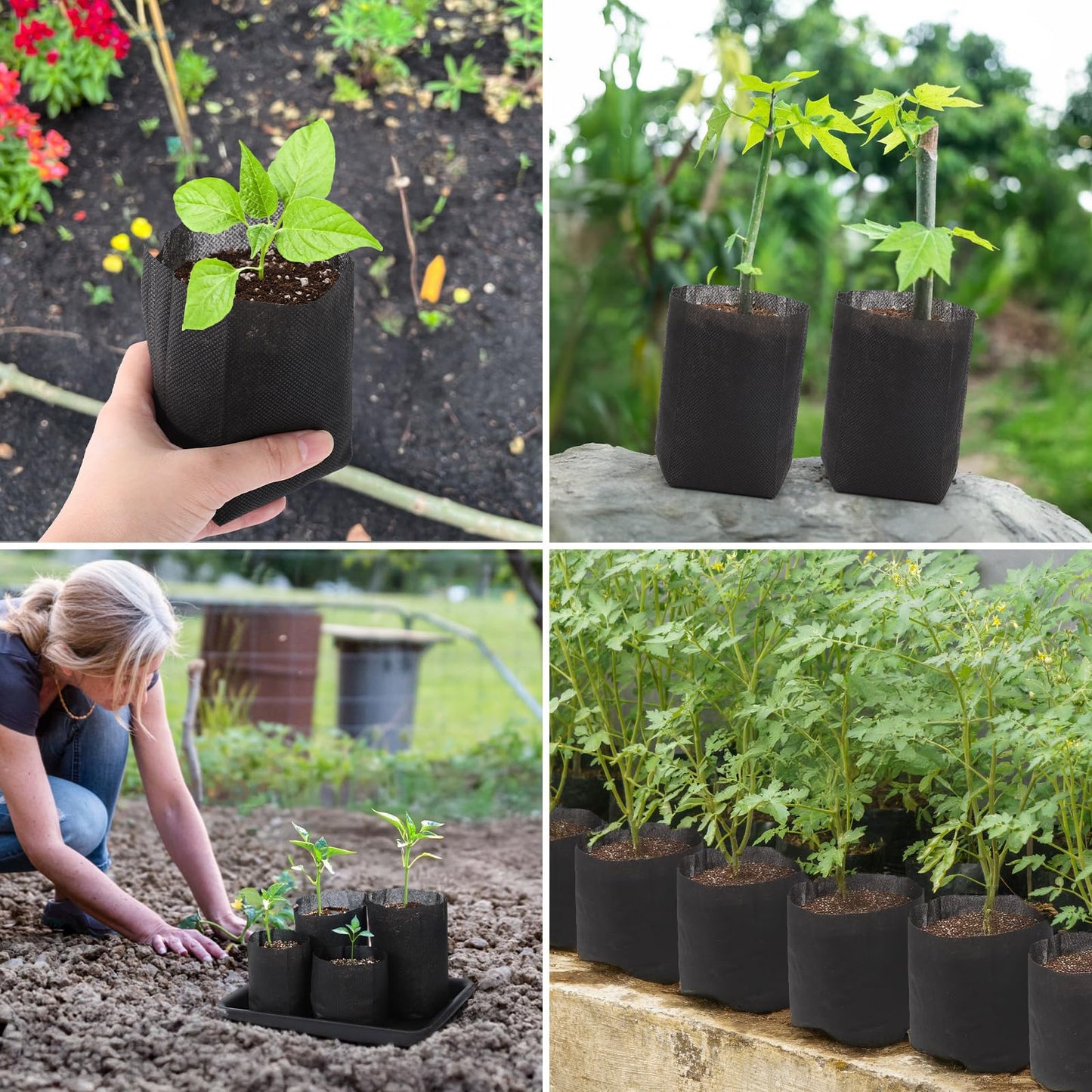 GREANER 200 PCS Biodegradable Grow Bags, Non-Woven Fabric Growing Pouches, Plant Nursery Bags for Planting, Grow Bags for Seed Starting, Soil Transplant, Home Garden Supply(5.5x5.7in)