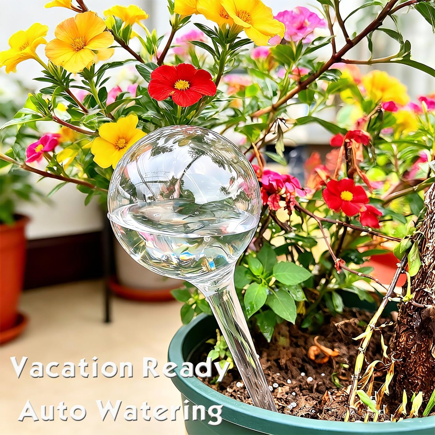 Wellinc Self Watering Globes for Plants – 12 Pack Large Automatic Watering Bulbs, Vacation Plant Watering Device for Indoor & Outdoor Potted Plants, Slow Release Plant Waterer for Water Conservation