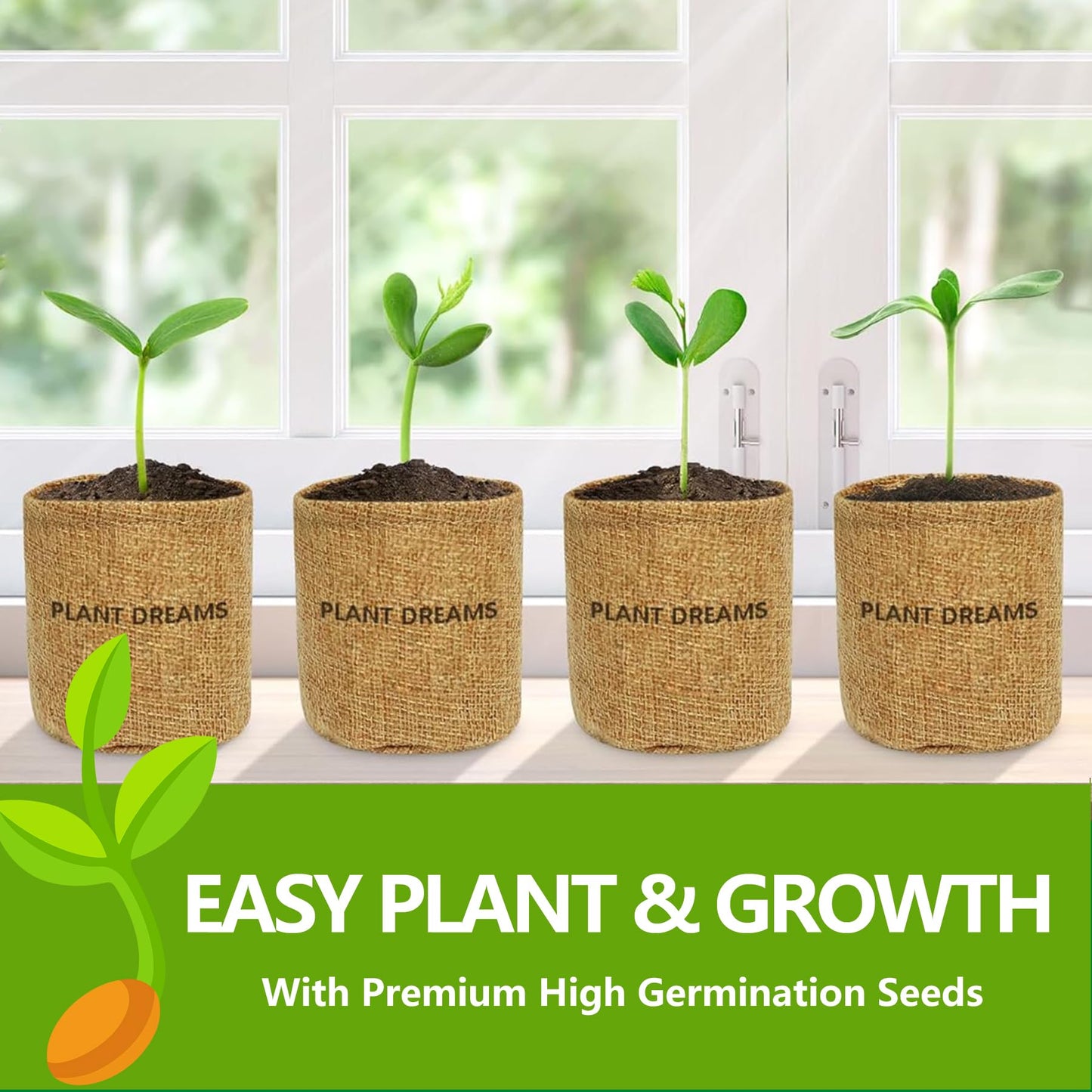Bonsai Tree Kit, Bonsai Starter Kit with Seeds & Tools, Tree Live Plants Indoor, Gardening Gifts for Women Men Mom Father Plant Lover, Birthday Gifts for Women