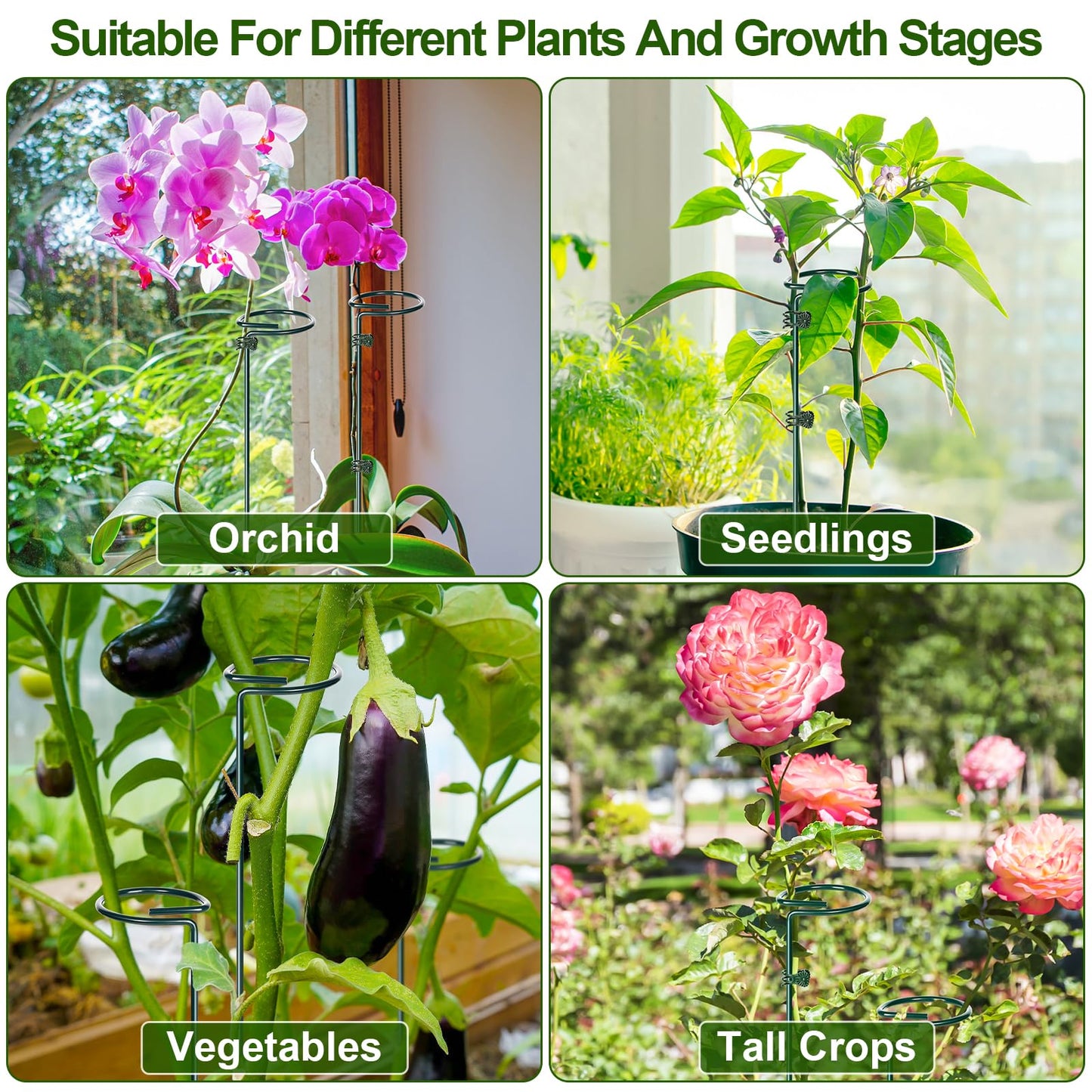 Mwellewm 6 Sets Plant Stakes 12/25/36 Inch Adjustable Plant Support Stakes Tall for Indoor Outdoor Plant Holder Stick Steel Garden Stem Pole Amaryllis Stakes with 30 Clip for Tomato Orchid Lily Flower