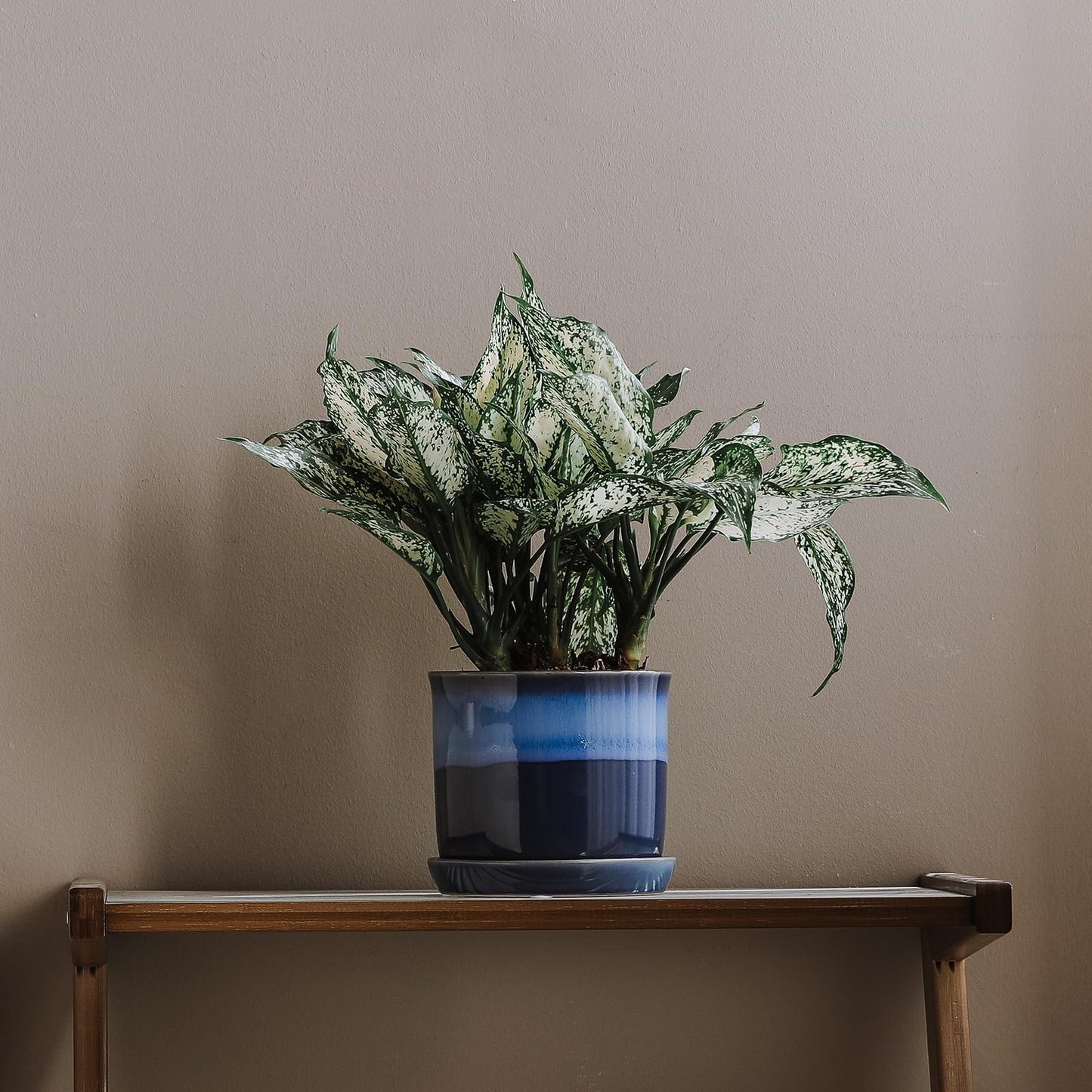 Chubacoo 5.8 Inch Plant Pot: Ceramic Planter with Drainage Hole & Saucer for Indoor Outdoor Plants - Flowerpot with Bonded Tray for Home Office - Blue Reactive Glaze