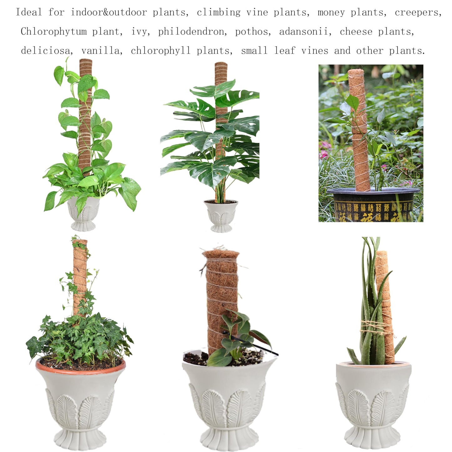 4 PCS 12 Inch Moss Pole Support Sticks for Monstera Plants, Ideal for Climbing and Potted Plants, Coir Moss Poles for Indoor Plant Growth Upwards