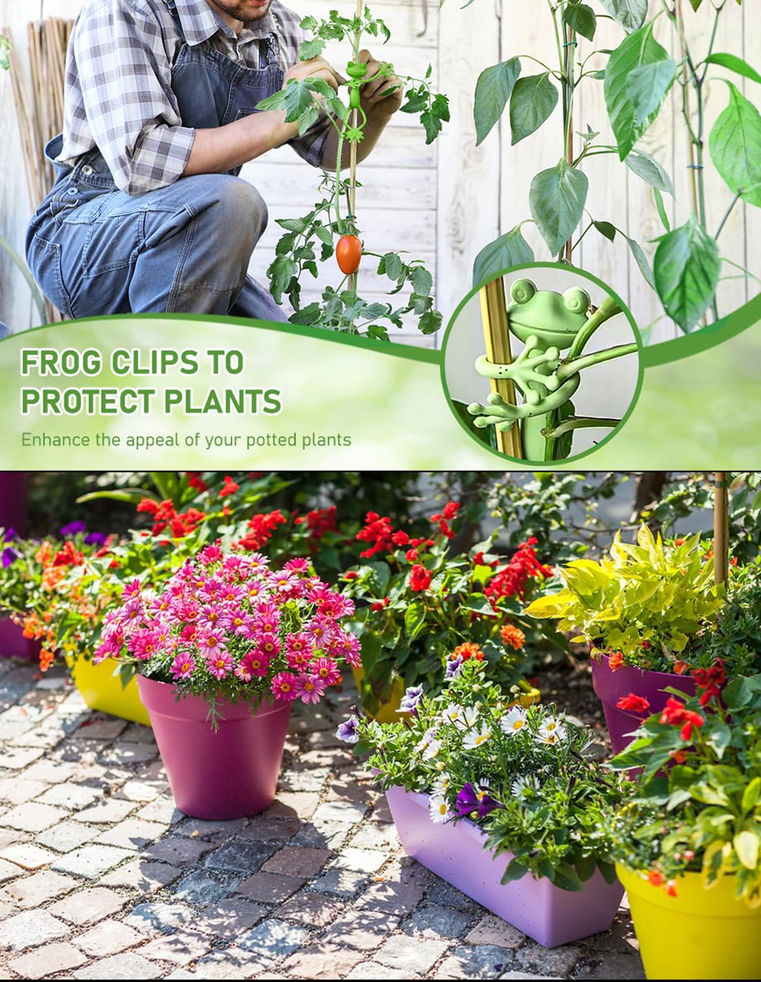 MOCJAEYN 10pcs Frog Plant Stand Holder,Plant Clips for Climbing Plants Vines,Plant Propagation Buddy, orchid clips, Plant Accessories Indoor for Potted Plants