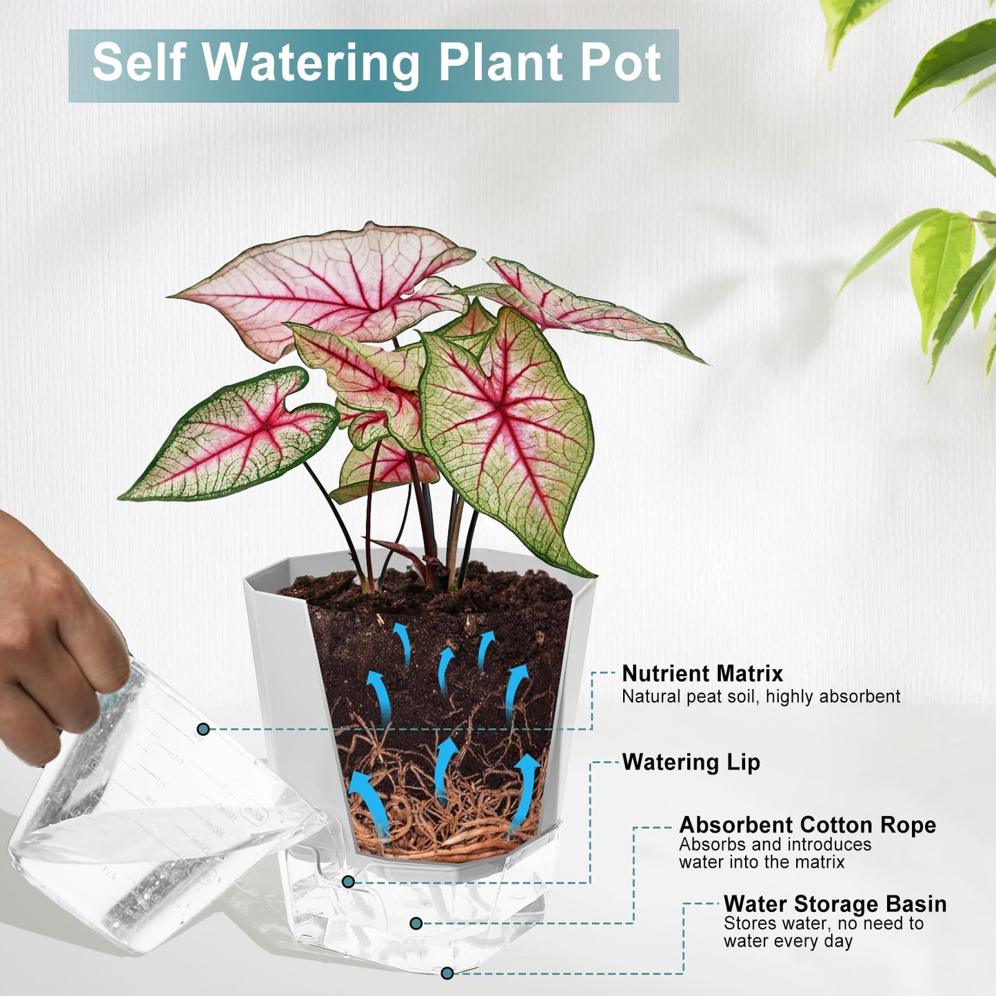 Samhe 3 Pack Self Watering Flower Pots 6.5 Inch, Plant Pots for Indoor Outdoor, Self Watering Planters with Wick Rope and Clear Reservoir