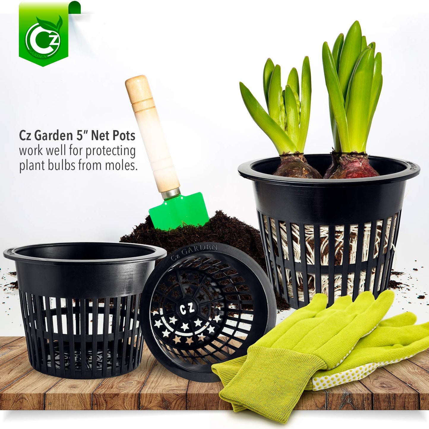 5 inch Net Pots Heavy Duty Round Cups Wide Rim Design - Orchids • Aquaponics • Aquaculture • Hydroponics Slotted Mesh (Cz All Star 10 Black Pots)