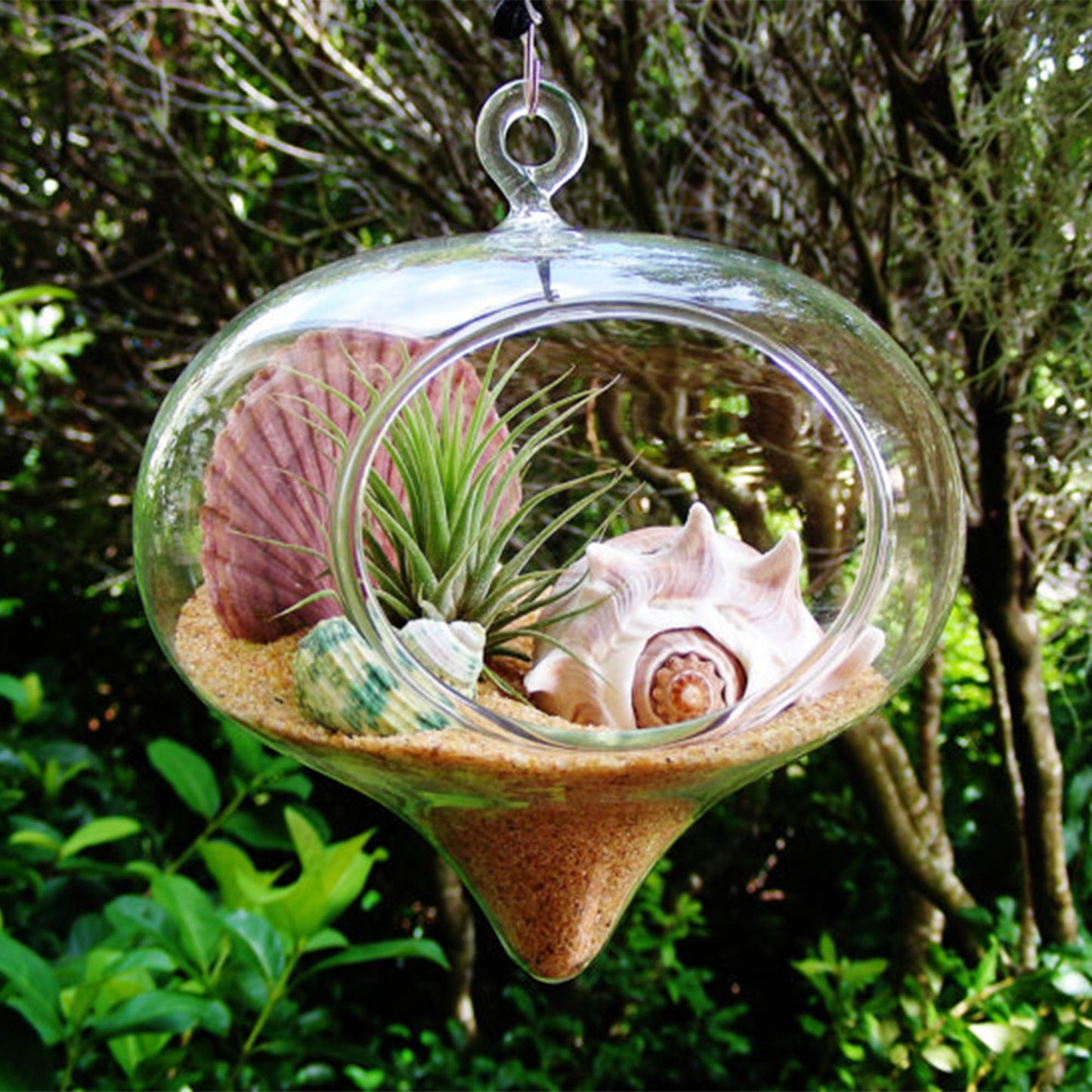 WGV Glass Hanging Plant Terrarium Bulk, Width 5", Height 5.5", Turnip DIY Succulent Air Planter Clear Tea Light Votive Candle Holder for Event Home Garden Outdoor Decor, 6 Pieces