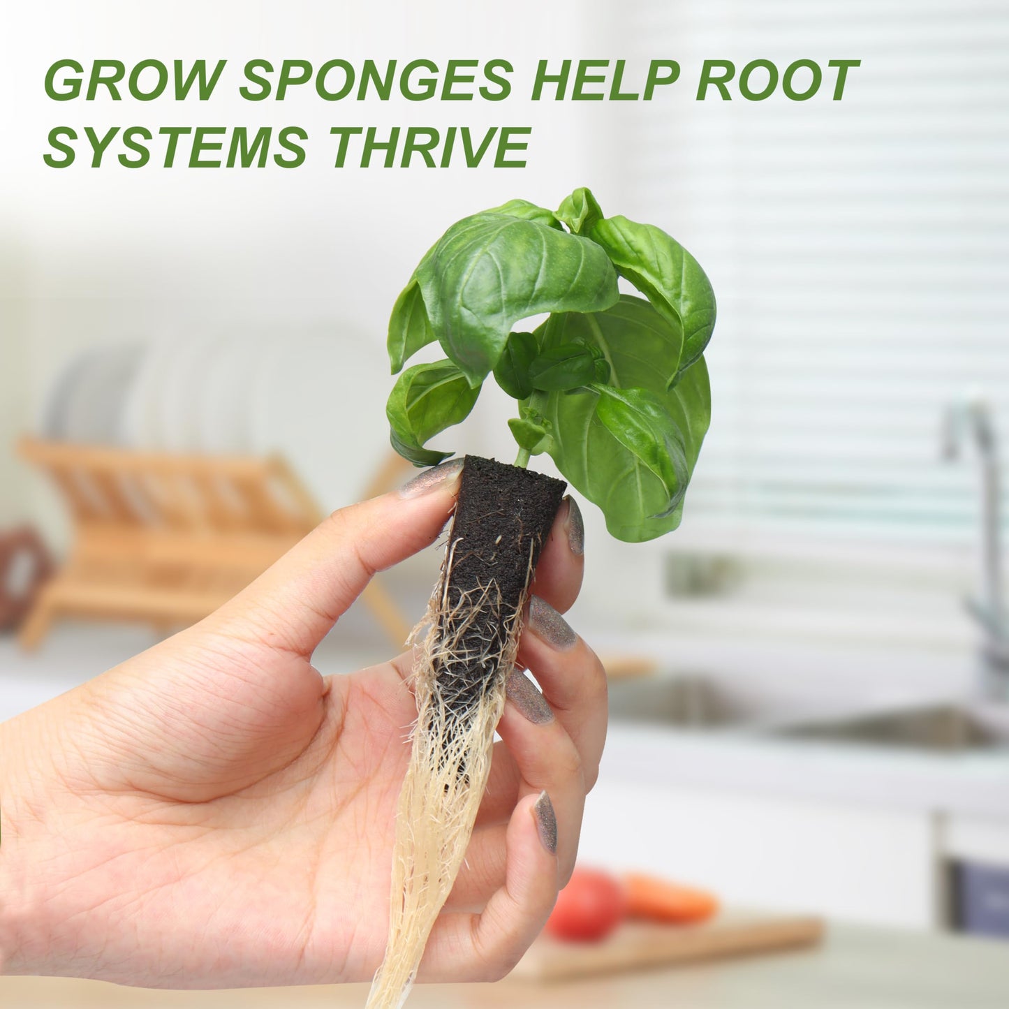 Kiicii Kratky Method Hydroponic Planter Kit, 8 Hydroponic Planter Plus 24 Growing Sponges for Herbs, Hydroponic Mini Buckets for Windowsill Herb Garden, Hydroponic Growing System for Vegetables