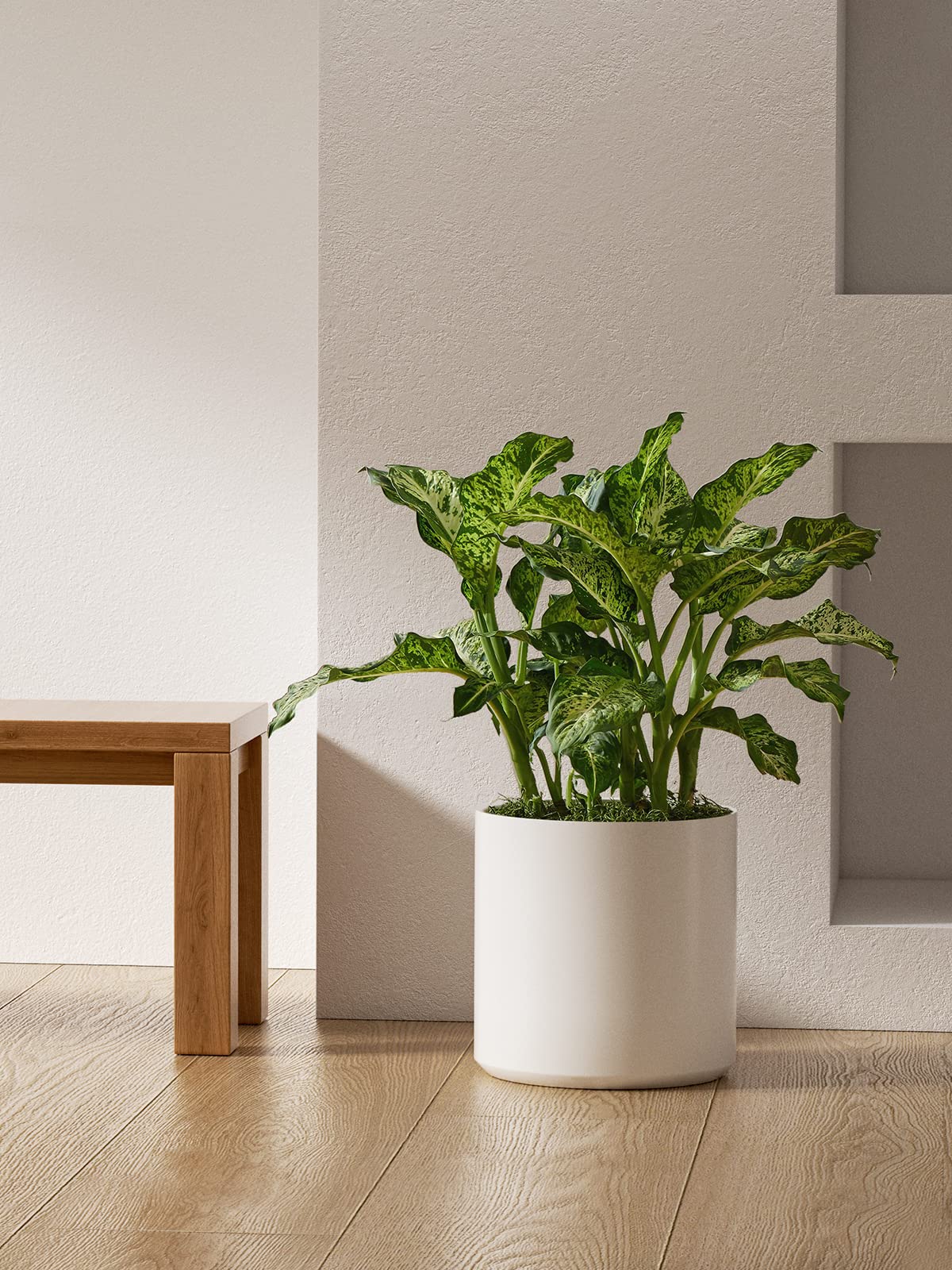 LE TAUCI 12 Inch Pot for Plants, Ceramic Planters for Indoor Plants, Mid-Century Modern Cylinder Flower Pots with Drainage Hole, Fits Fiddle Leaf Fig & Monstera, Home Decor, White