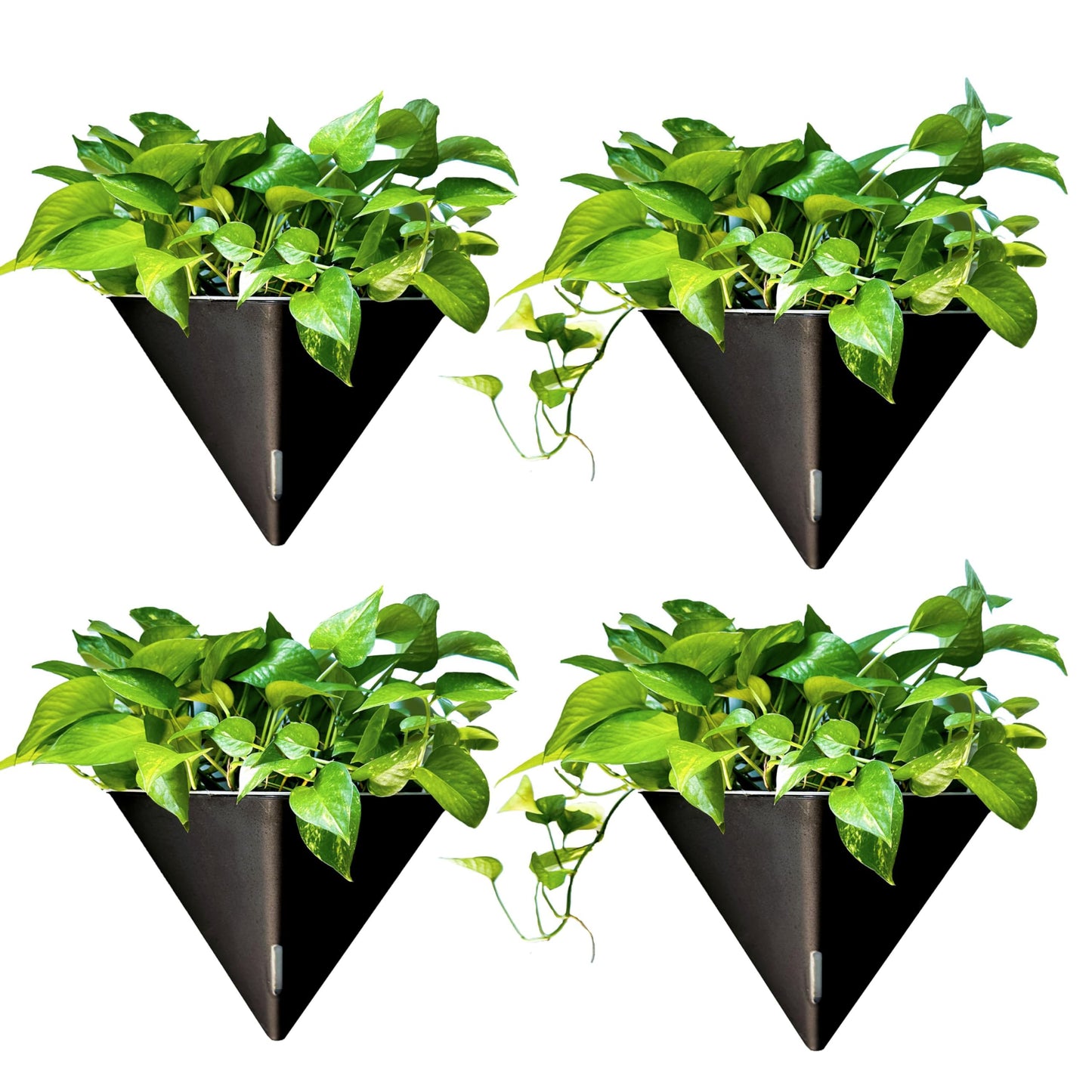 LaLaGreen Wall Planters for Indoor Plants - 4 Pack, 12 Inch Large Self Watering Black Geometric Hanging Flower Vase Vessel with Metal Hanger, Modern Stylish Wall Mounted Succulent Pot Holder Decor