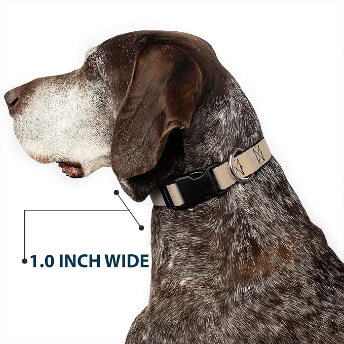Buckle-Down Dog Collar Plastic Clip Natural Hemp 16 to 23 Inches 1.5 Inch Wide
