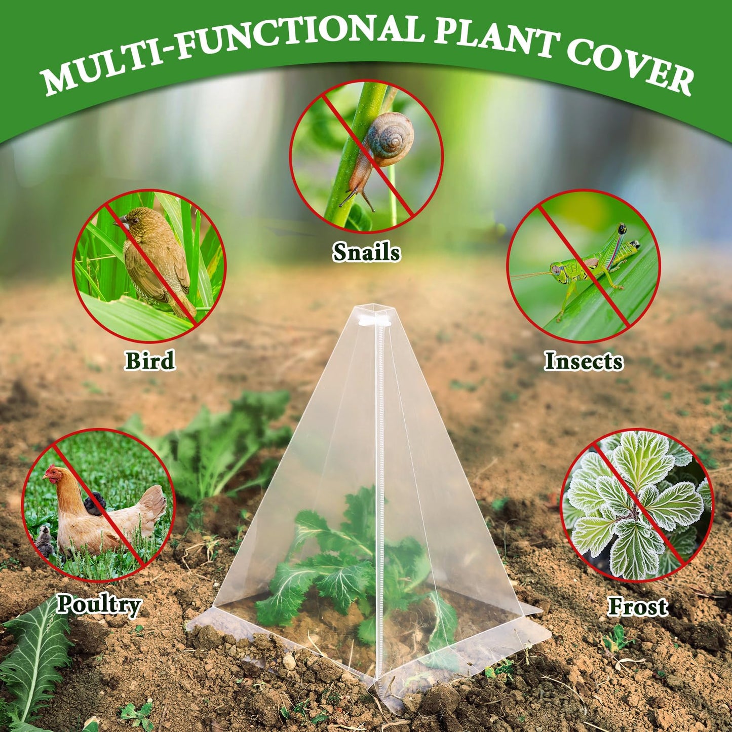Niuyhe Garden Cloches for Plants, 20 Pack Plastic Small Plant Seedling Protector, Reusable Clear Bell Covers with 40pcs Metal Stakes, Mini Greenhouse Against Sun, Frost, Snails, Birds, 7.8" x 11"
