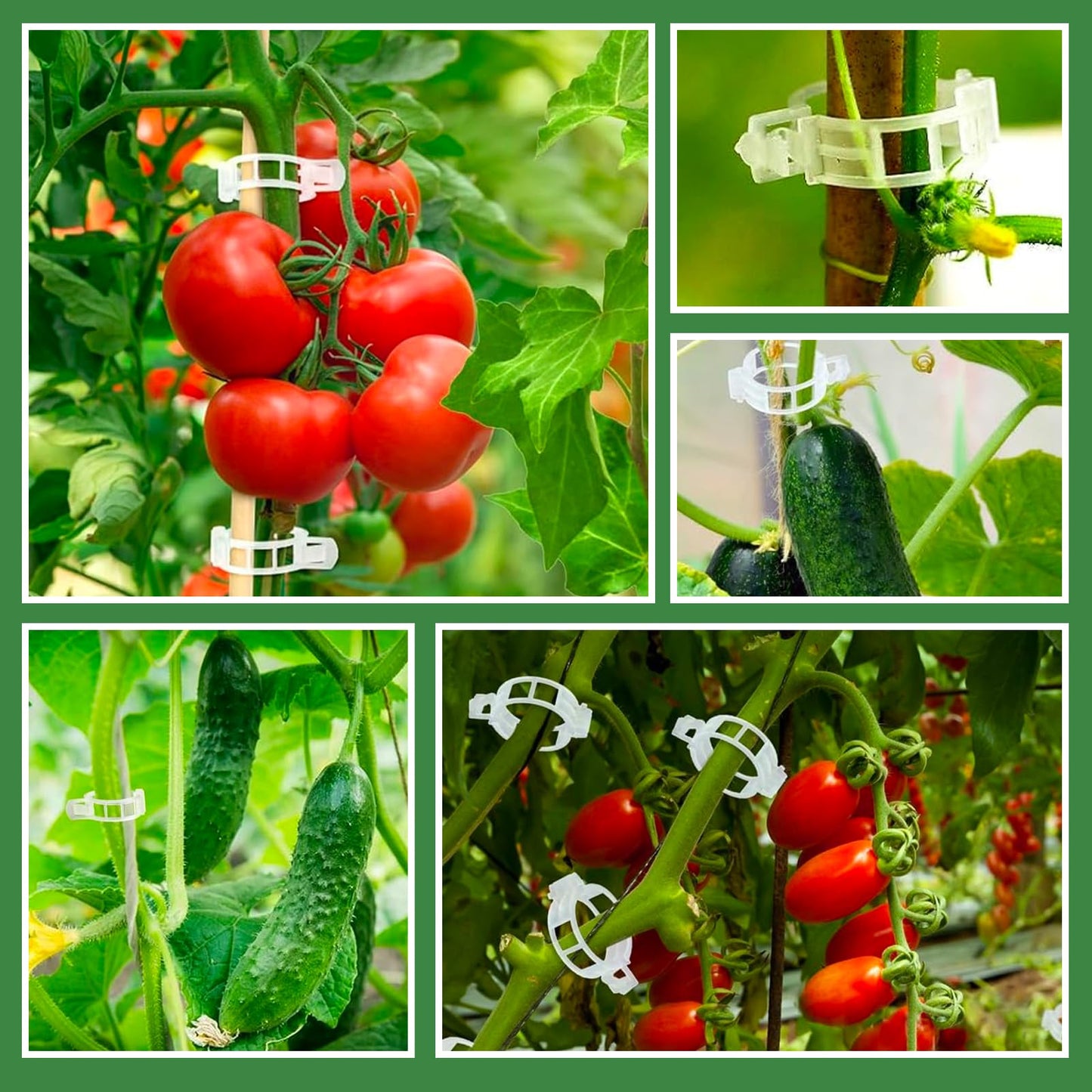 100 PCS Plant Support Clips,Reusable Garden Clips for Tomatoes, Climbing Plants, Vine Support,Plastic Plant Clips for Trellises, Indoor & Outdoor Use