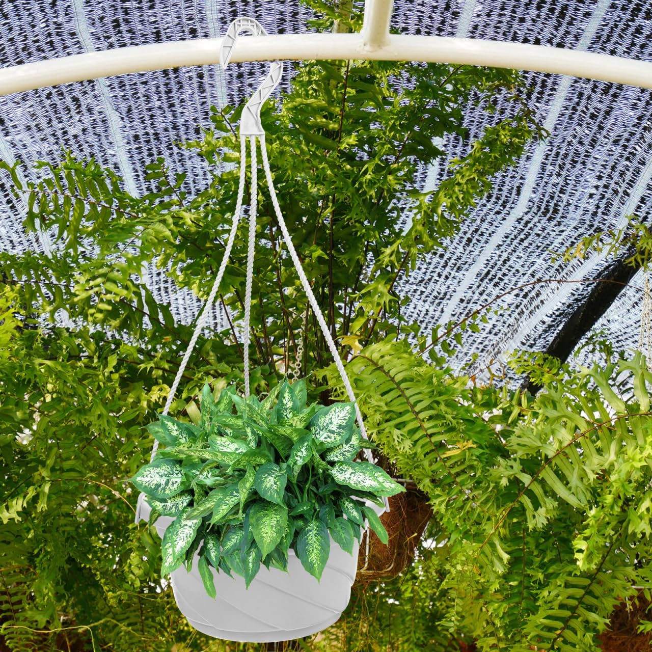 Toddmomy 10 Pack 6.7 Inch Plastic Hanging Flower Pots with Hooks Round Planters for Succulents Herbs Small Plants Indoor Outdoor Garden Hanging Baskets